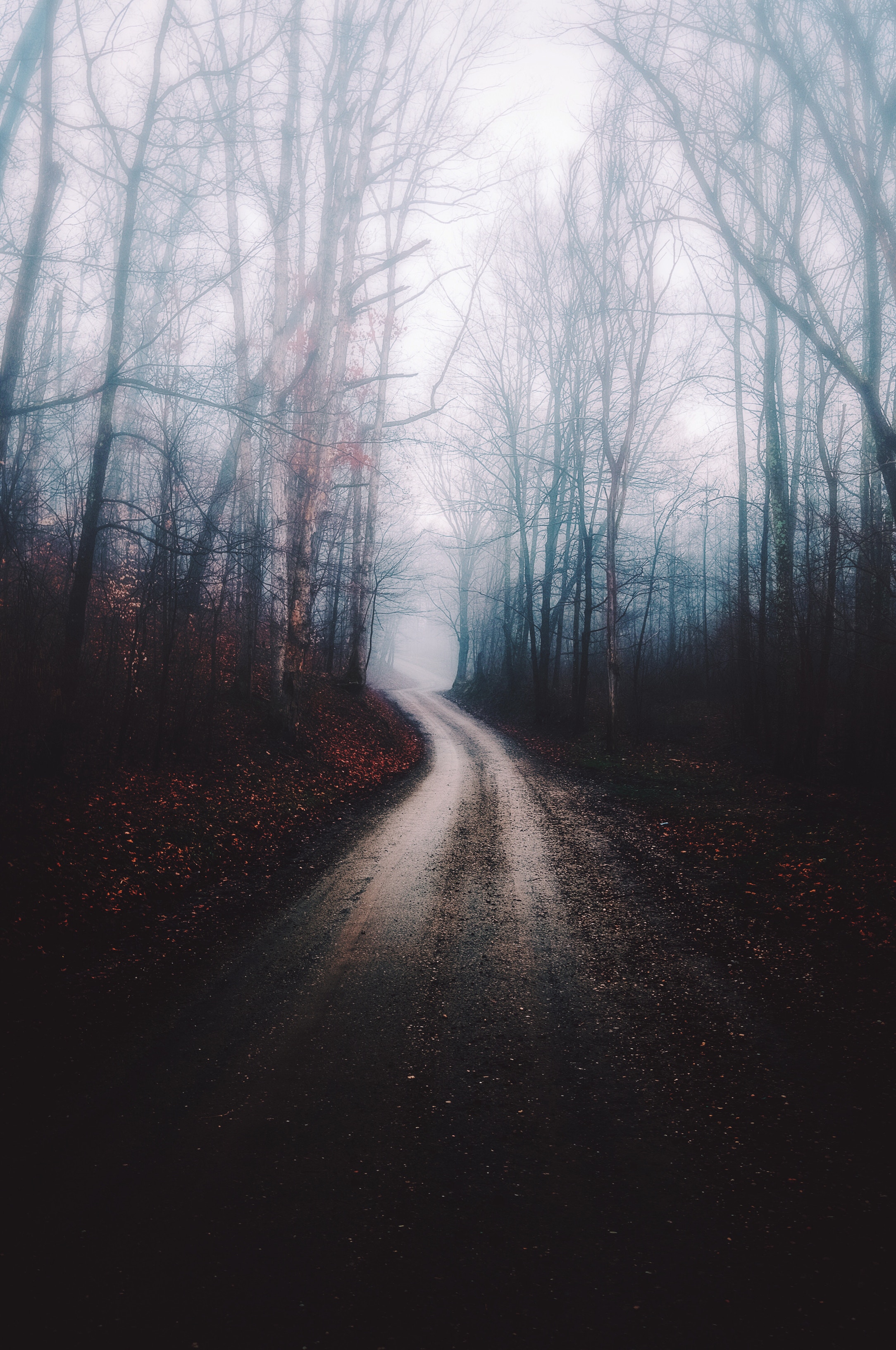 Download mobile wallpaper Path, Fog, Nature, Trees, Forest, Autumn for free.