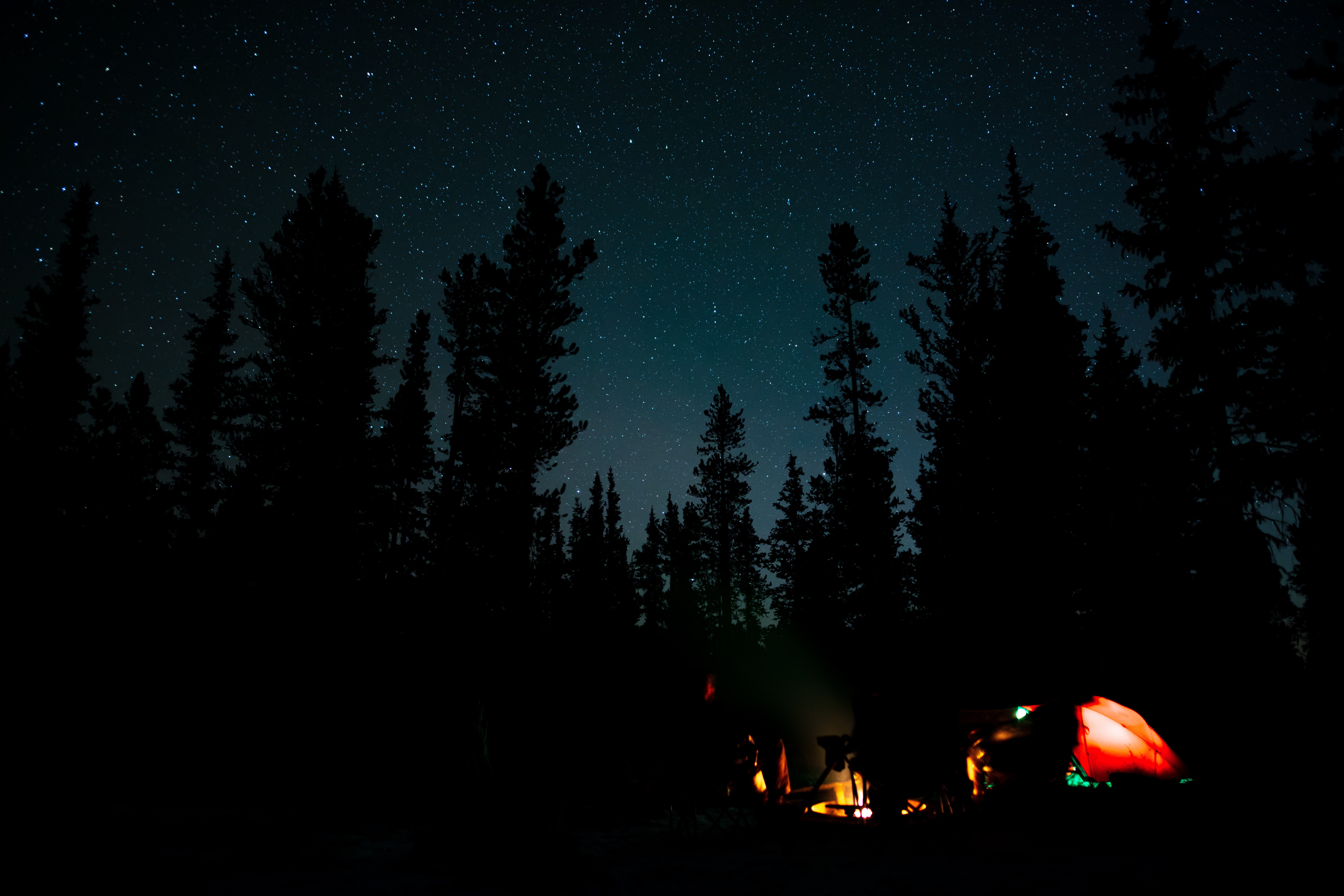 bonfire, camping, campsite, night, dark, forest 8K