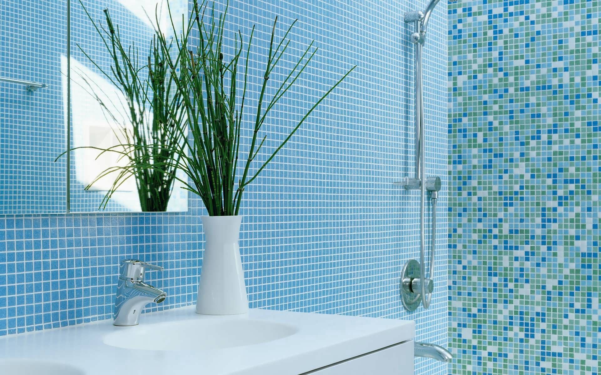 Download mobile wallpaper Bathroom, Plant, Miscellaneous, Vase, Miscellanea for free.