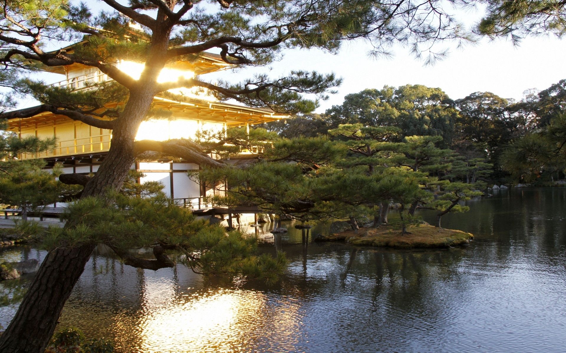 62938 скачать картинку япония, сад, деревья, природа, вода, вечер, особняк - обои и заставки бесплатно
