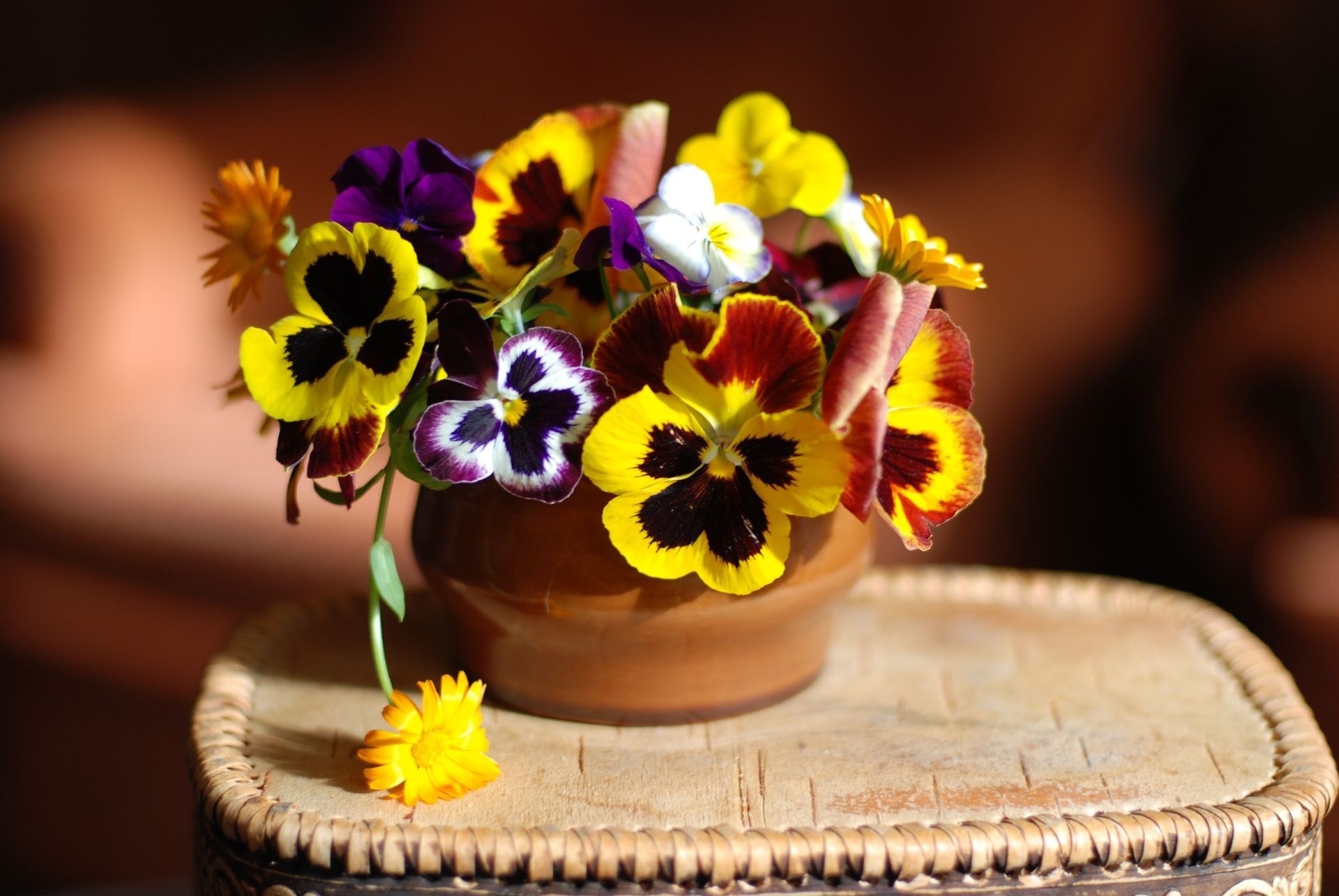 20129 завантажити шпалери квіти, букети, свята, рослини - заставки і картинки безкоштовно