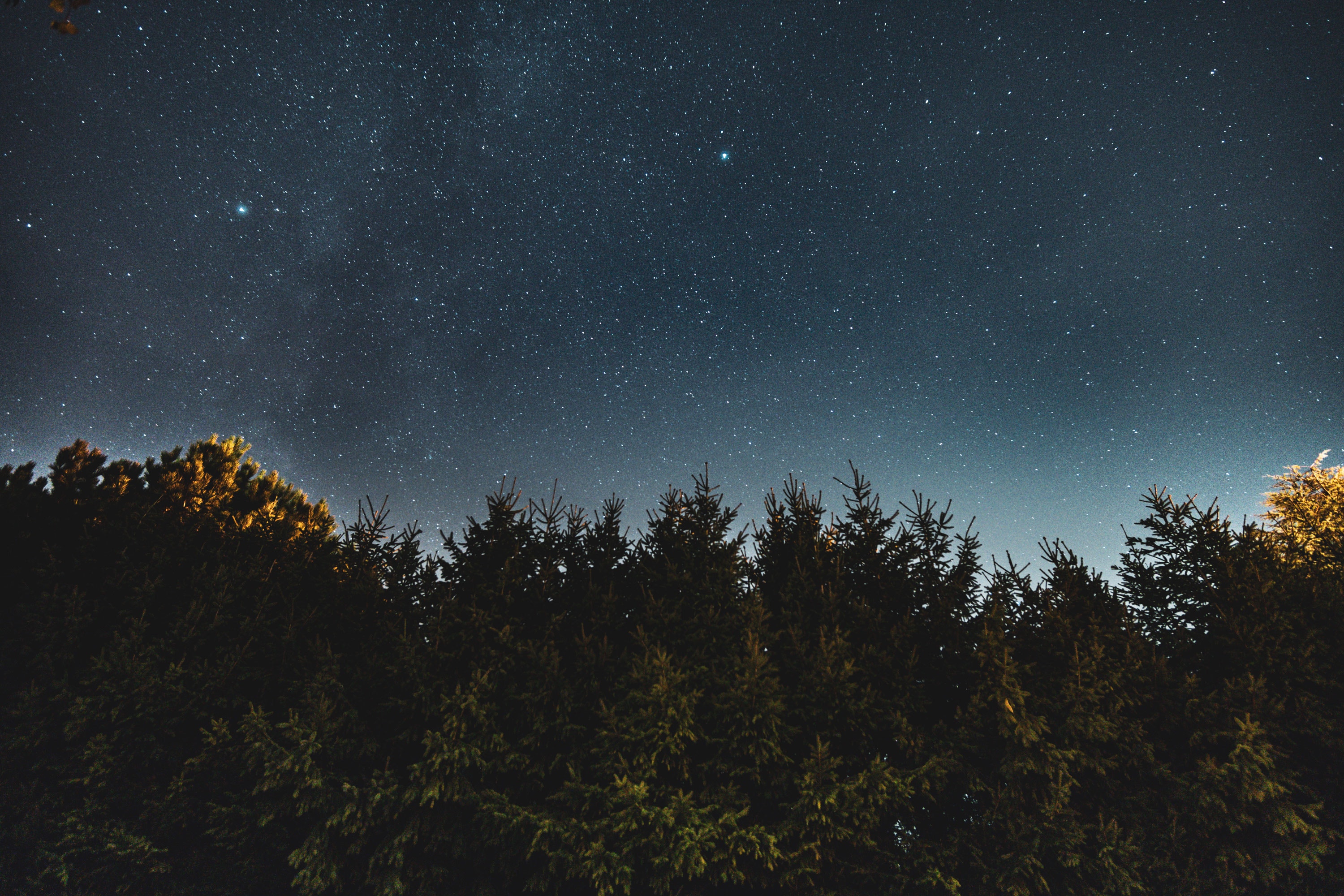 Download mobile wallpaper Ate, Trees, Sky, Starry Sky, Nature, Night for free.