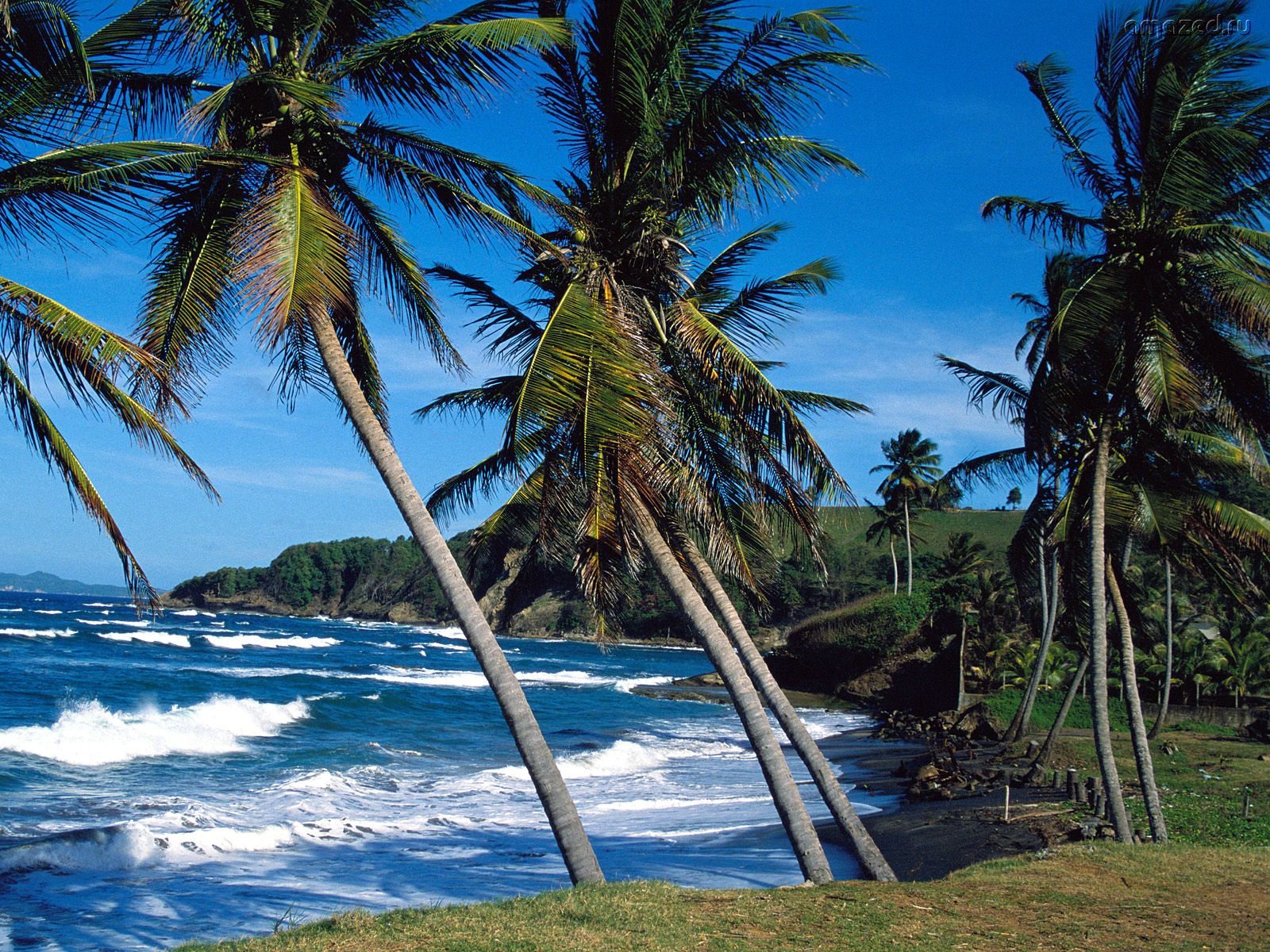 Download mobile wallpaper Landscape, Trees, Sea, Water, Palms for free.