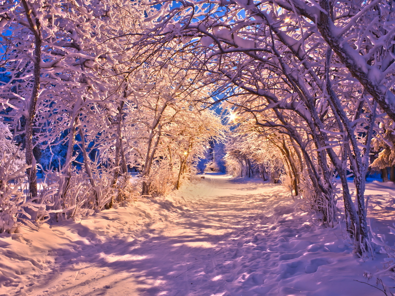 PCデスクトップに風景, 冬, 木, 道路, 雪画像を無料でダウンロード