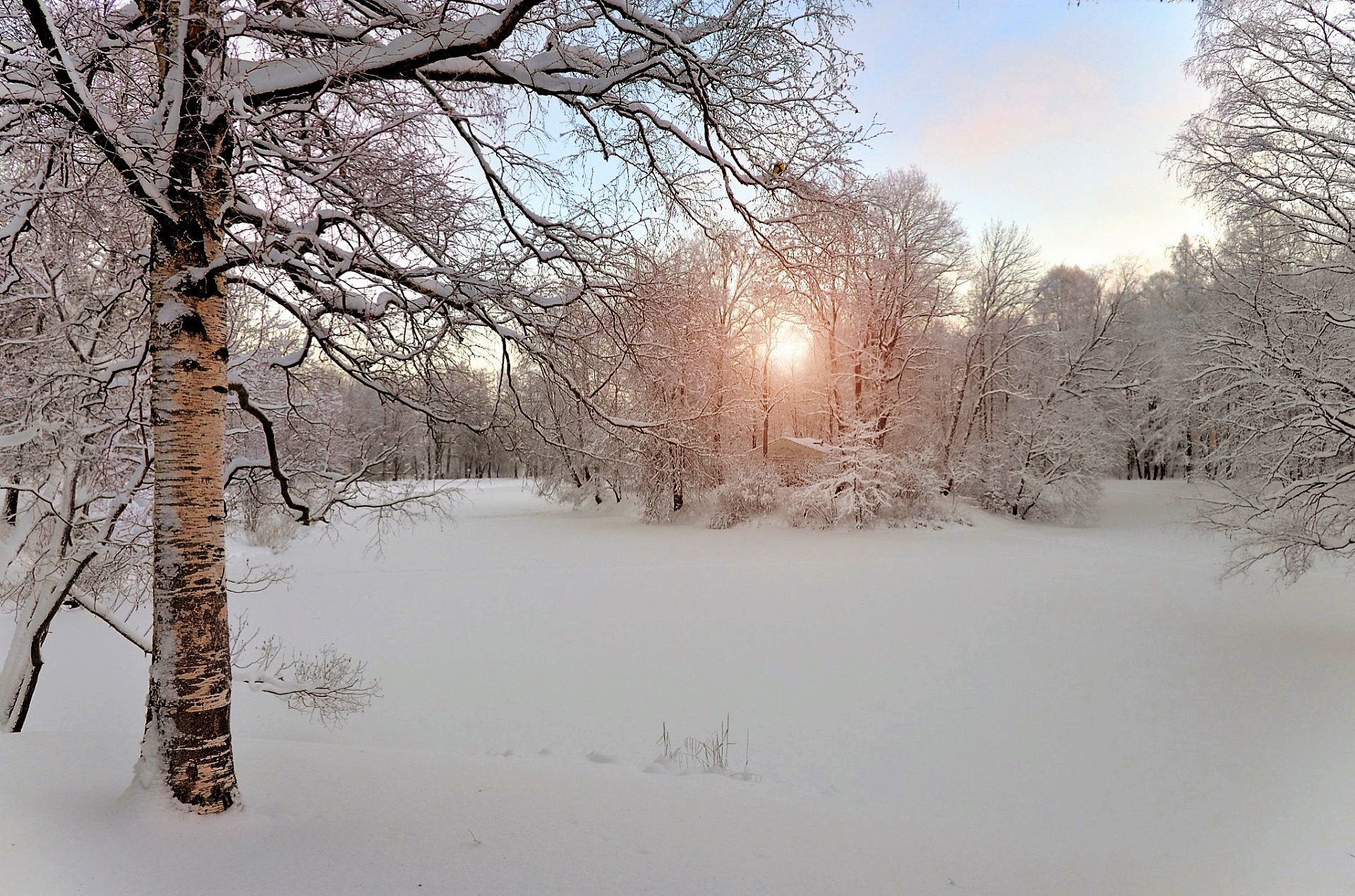Зима в природе Пушкин