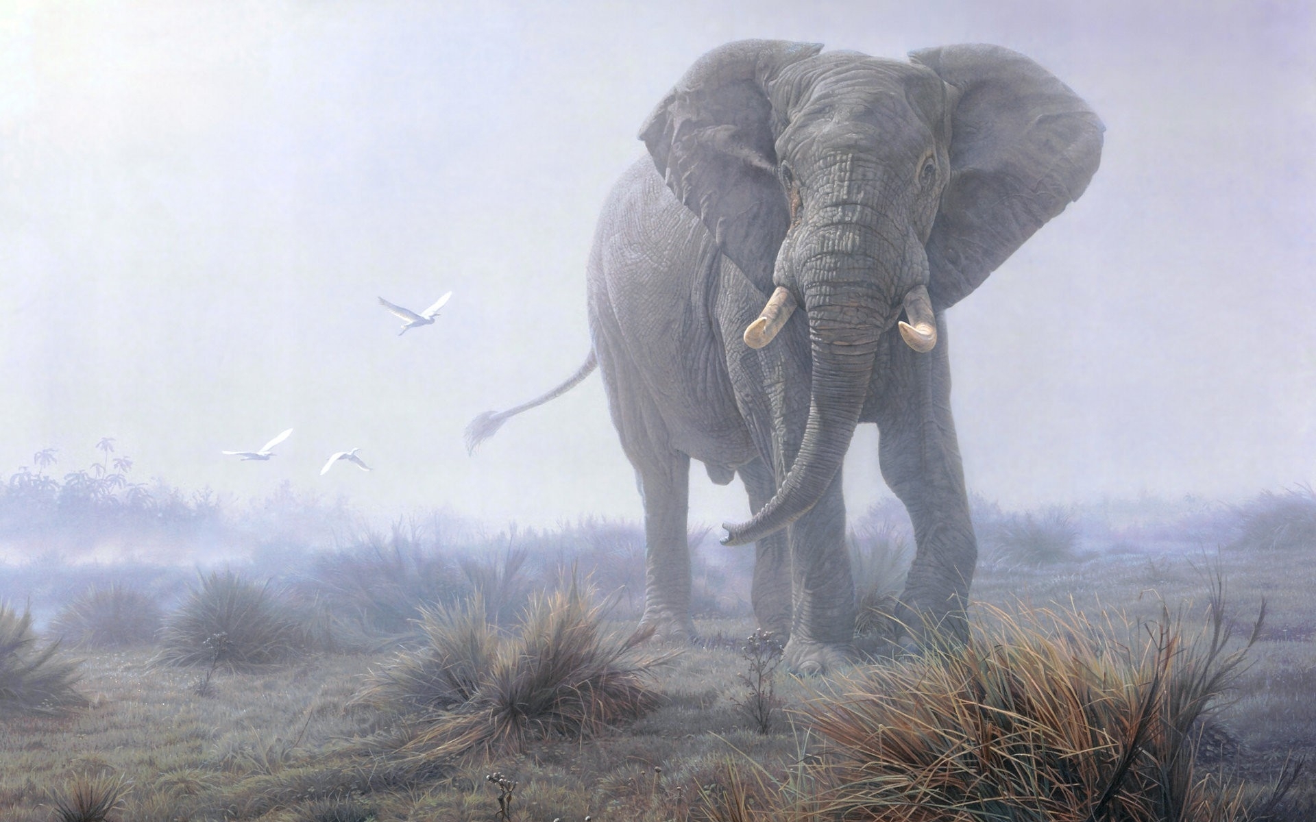 Download mobile wallpaper Africa, African Bush Elephant, Elephants, Animal for free.