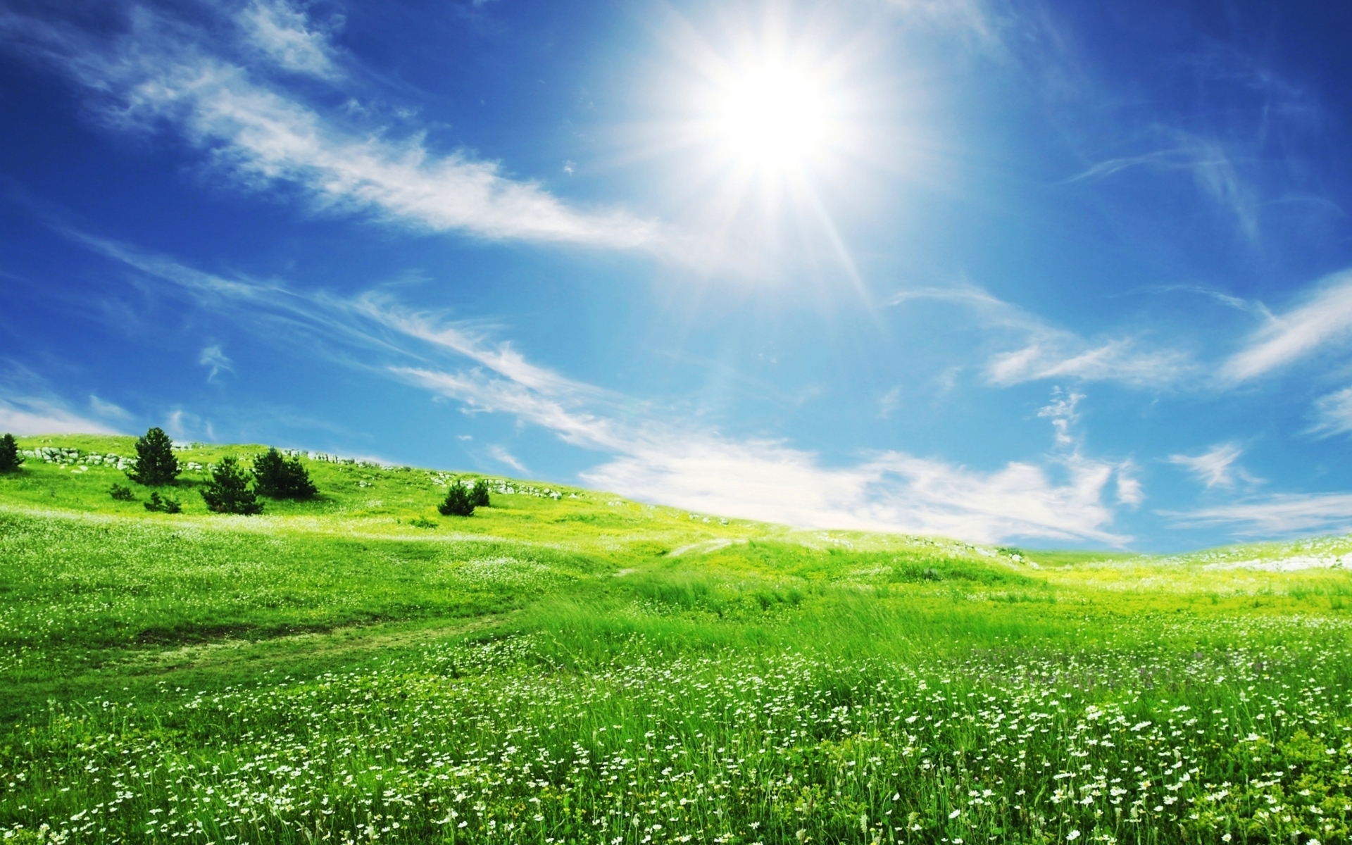 Download mobile wallpaper Landscape, Sun, Grass, Sky for free.