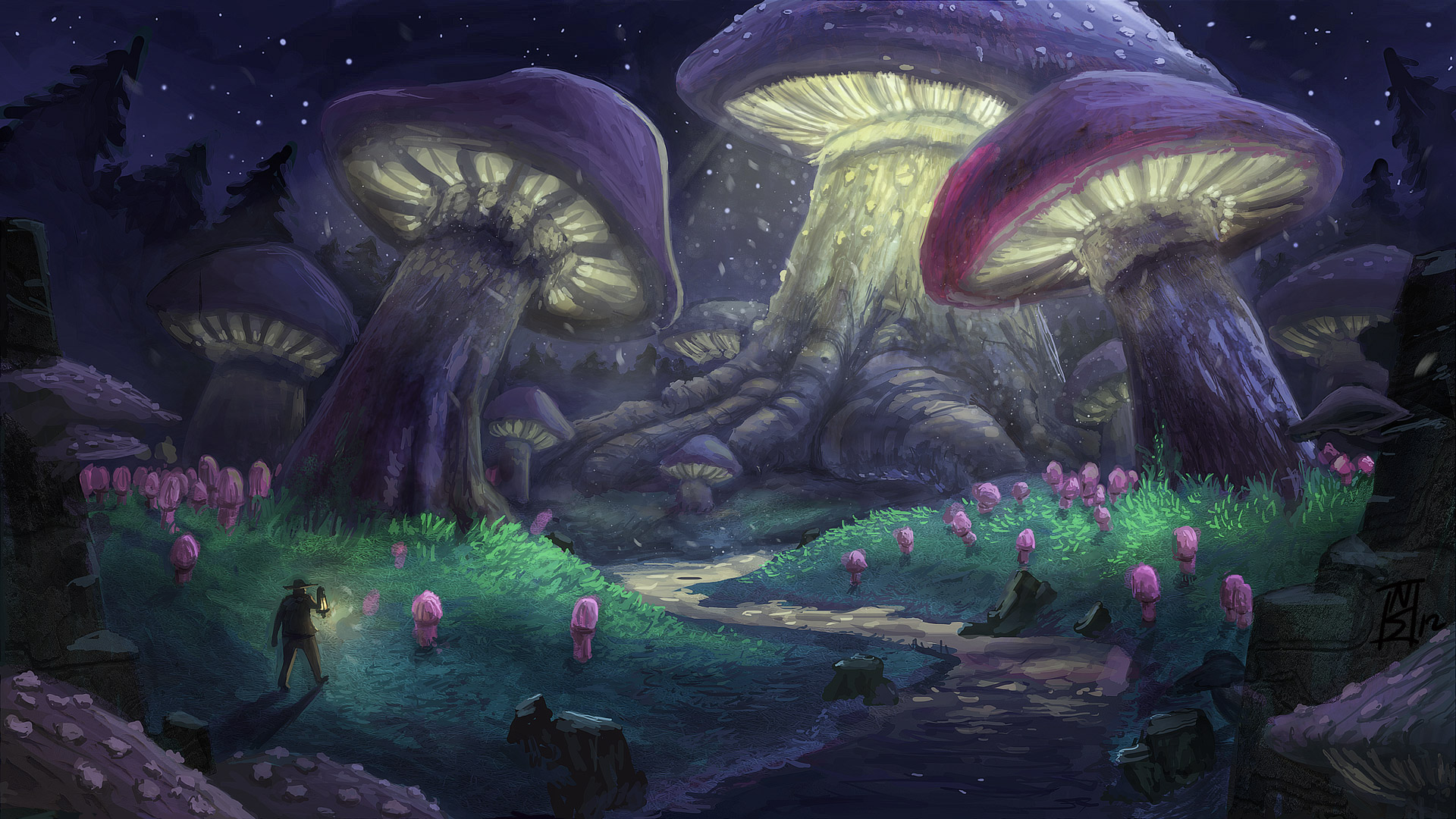 Mushroom Wallpapers 72 pictures