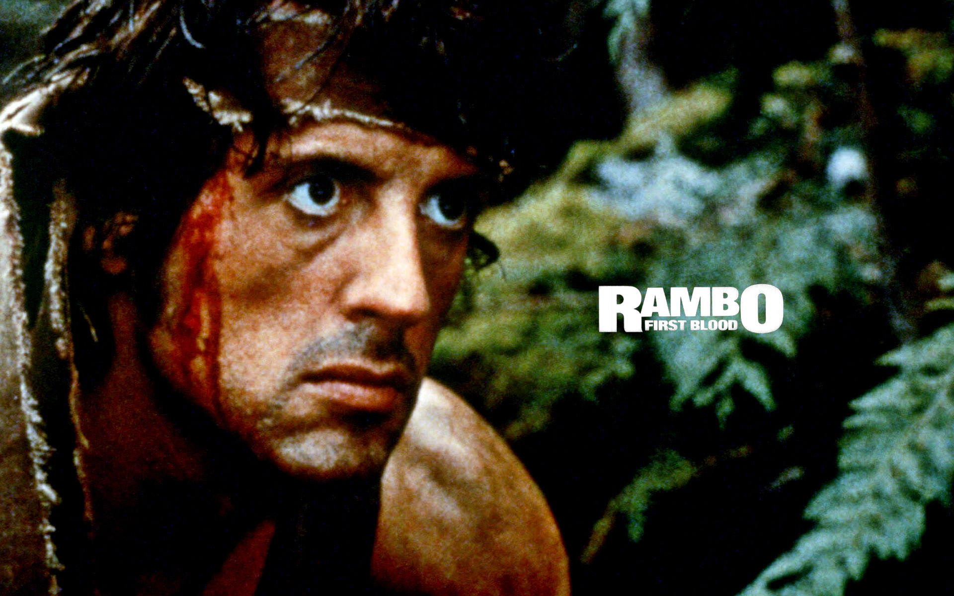 564709 économiseurs d'écran et fonds d'écran Rambo sur votre téléphone. Téléchargez  images gratuitement