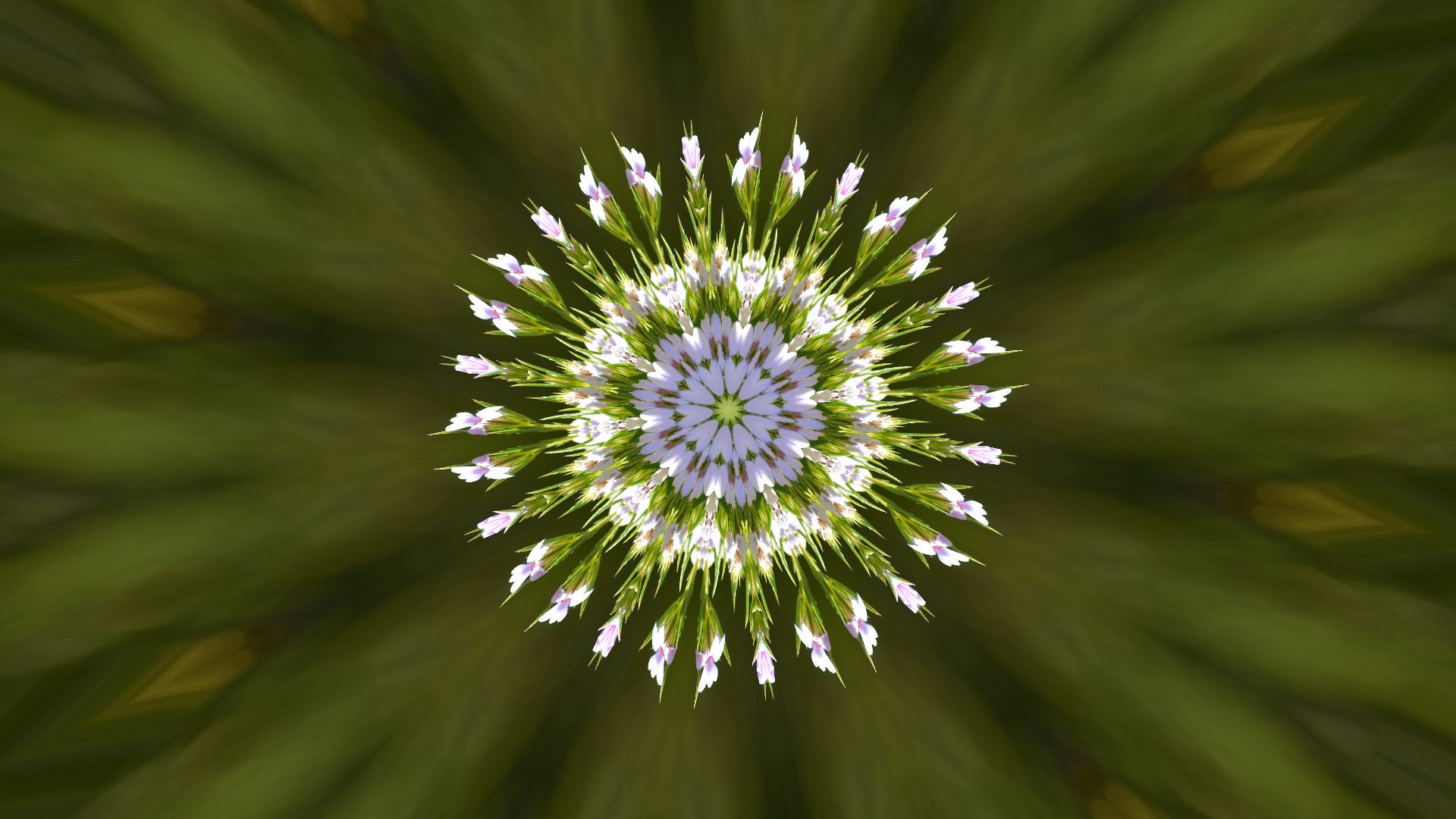 kaleidoscope, green, artistic, flower, flowers 8K