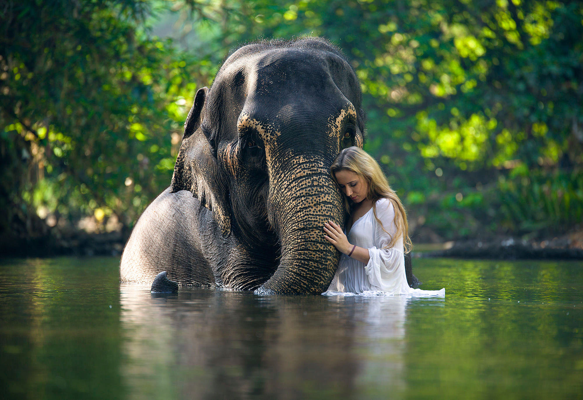 Девушка на слоне