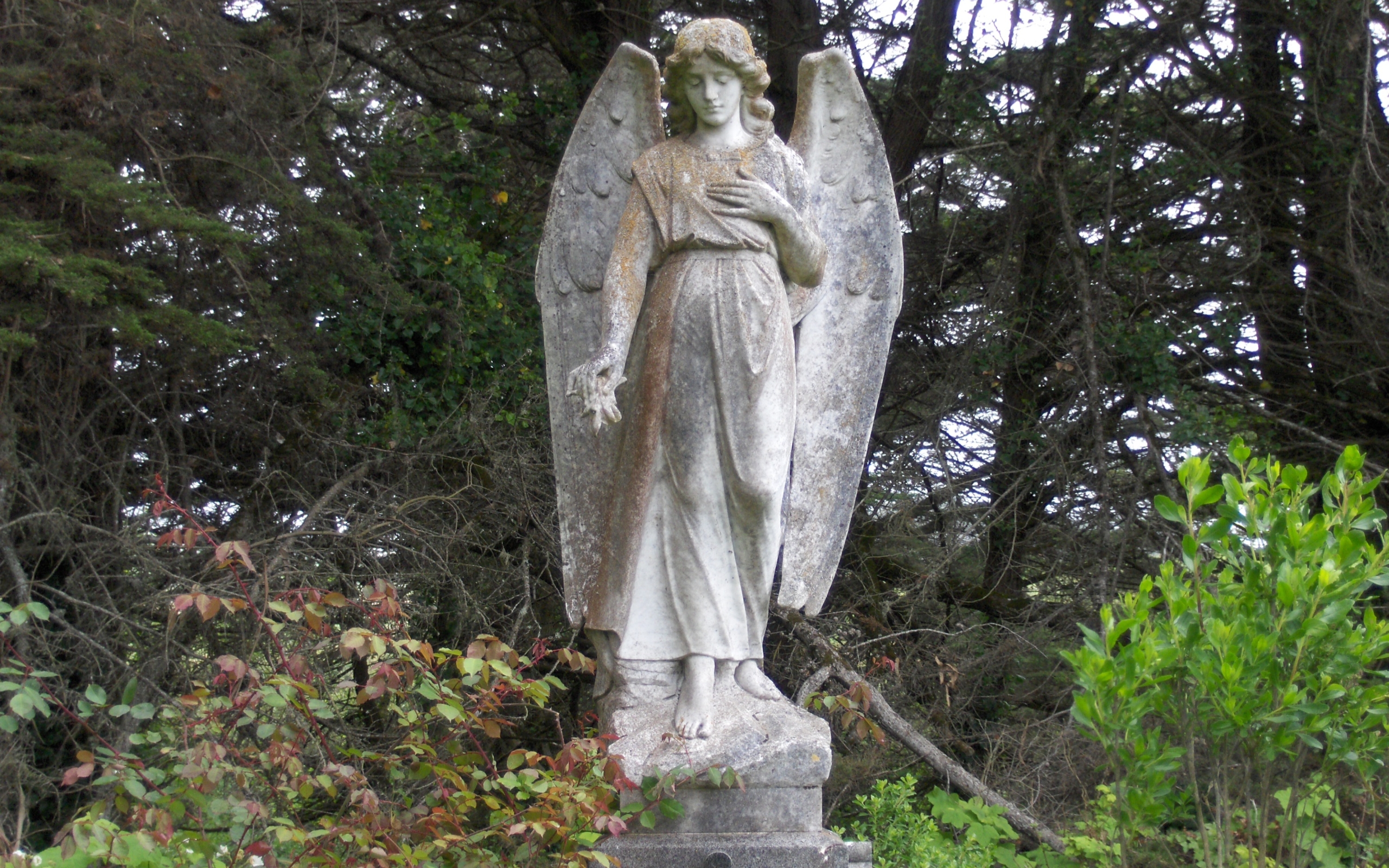 Angel Statue Vertical Background