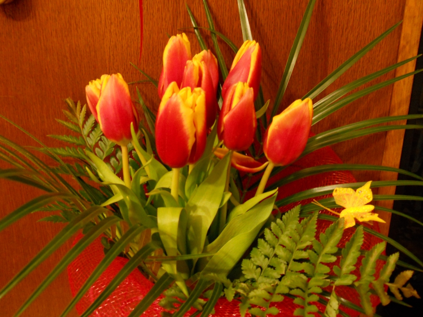 43371 Bildschirmschoner und Hintergrundbilder Tulpen auf Ihrem Telefon. Laden Sie  Bilder kostenlos herunter