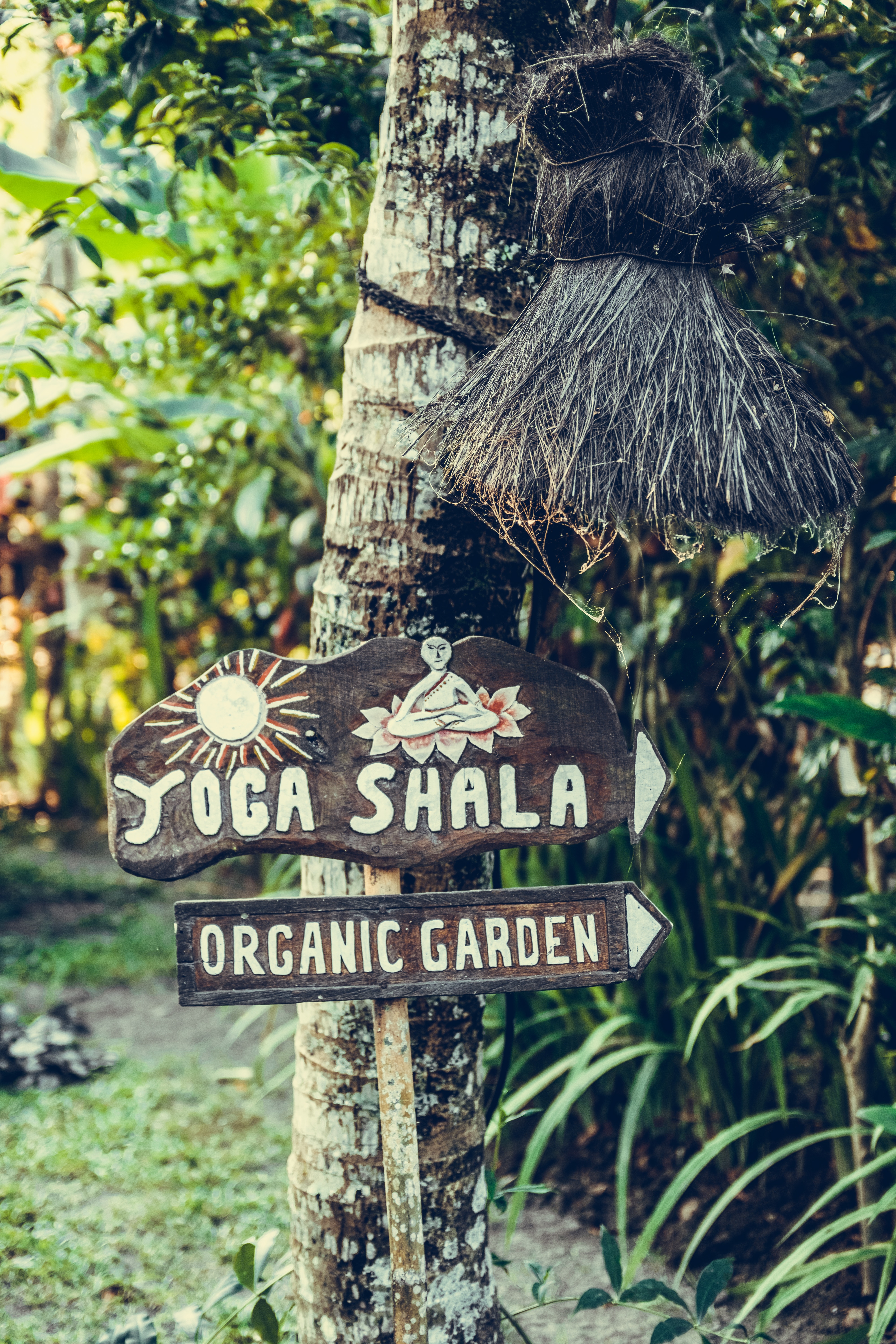 yoga, miscellanea, miscellaneous, wood, tree, garden, sign, signboard, organic, organic fertilizer cell phone wallpapers