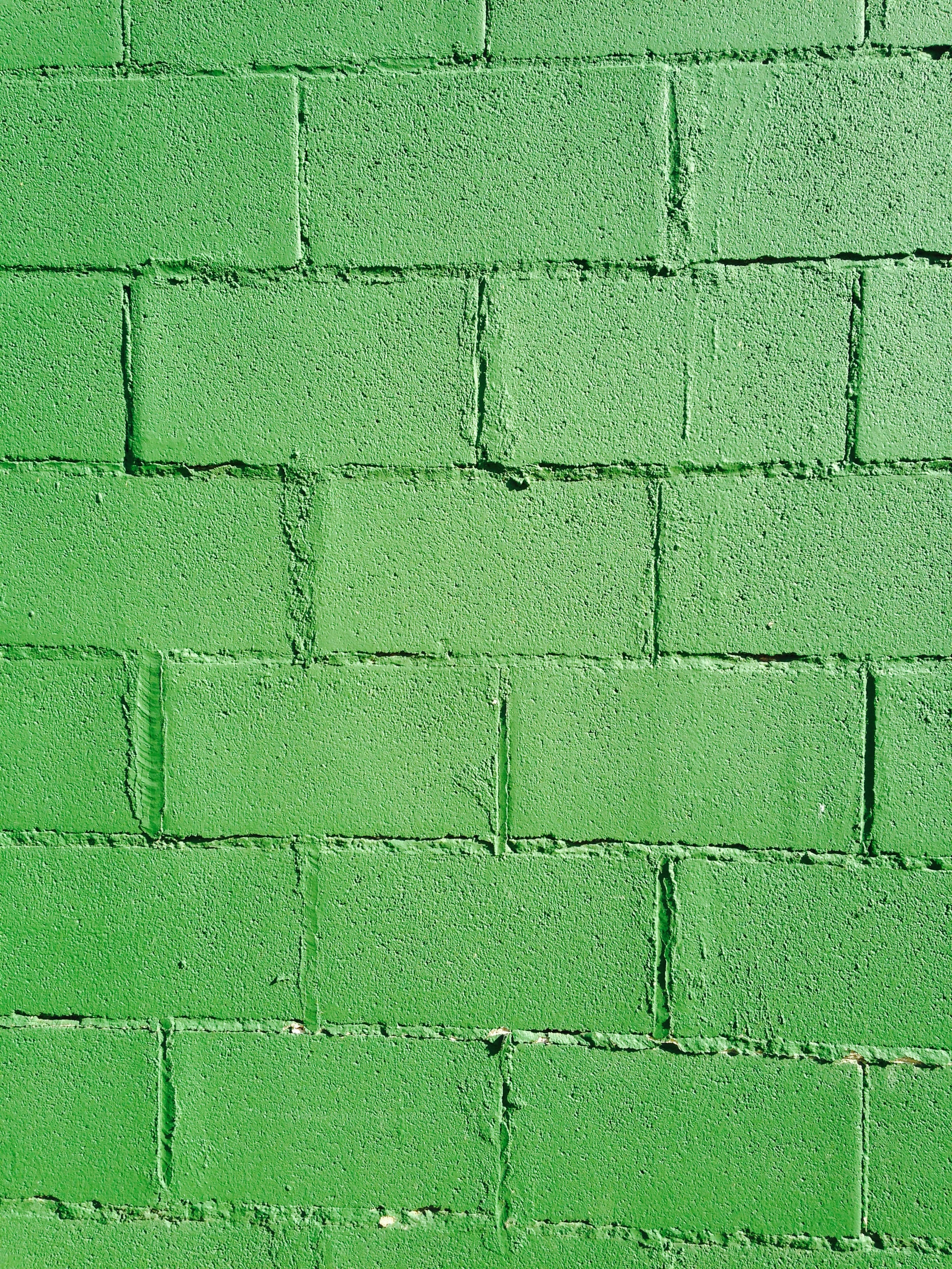 123132 descargar imagen ladrillos, verde, textura, texturas, pared: fondos de pantalla y protectores de pantalla gratis
