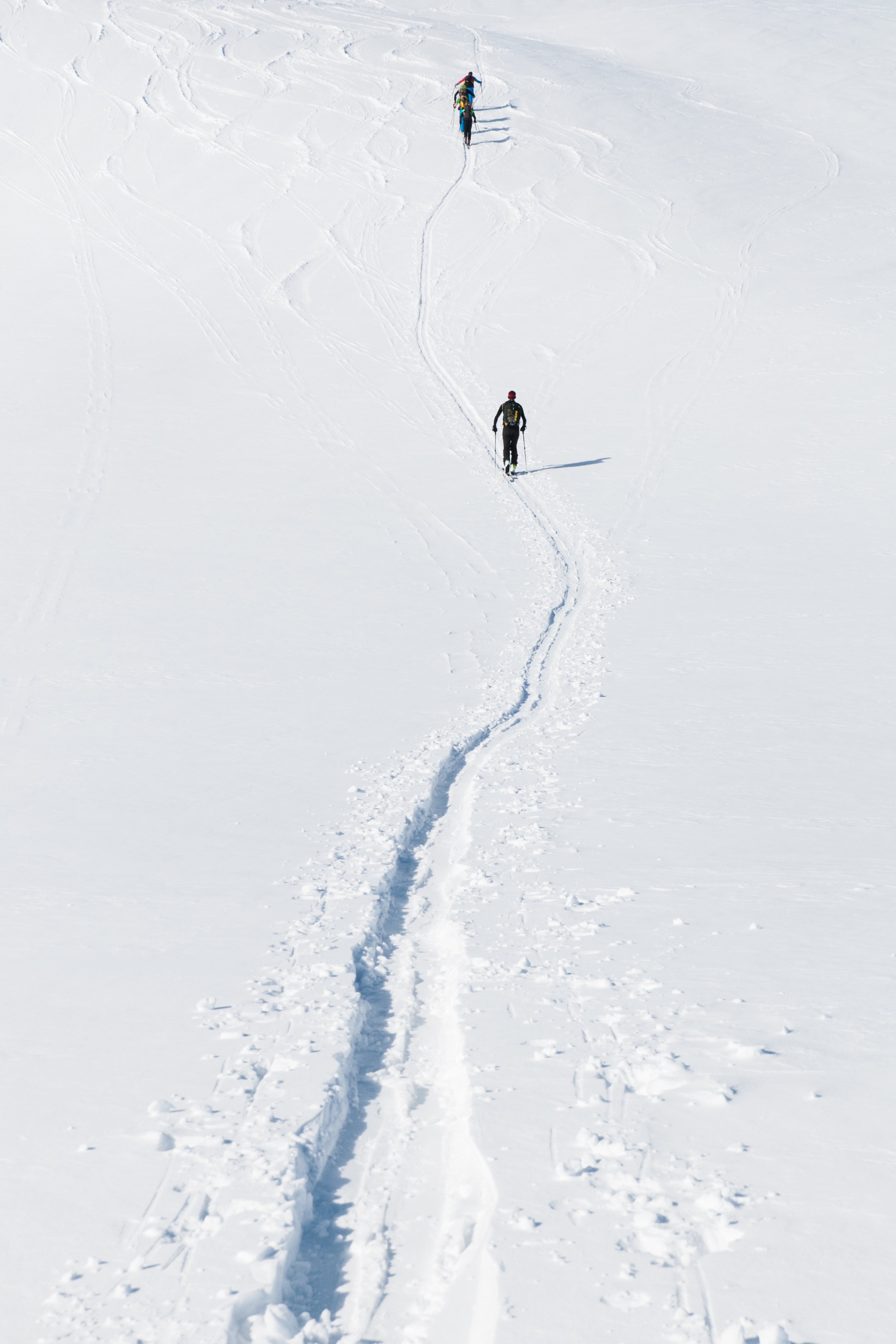 sports, snow, mountain, path, skiers