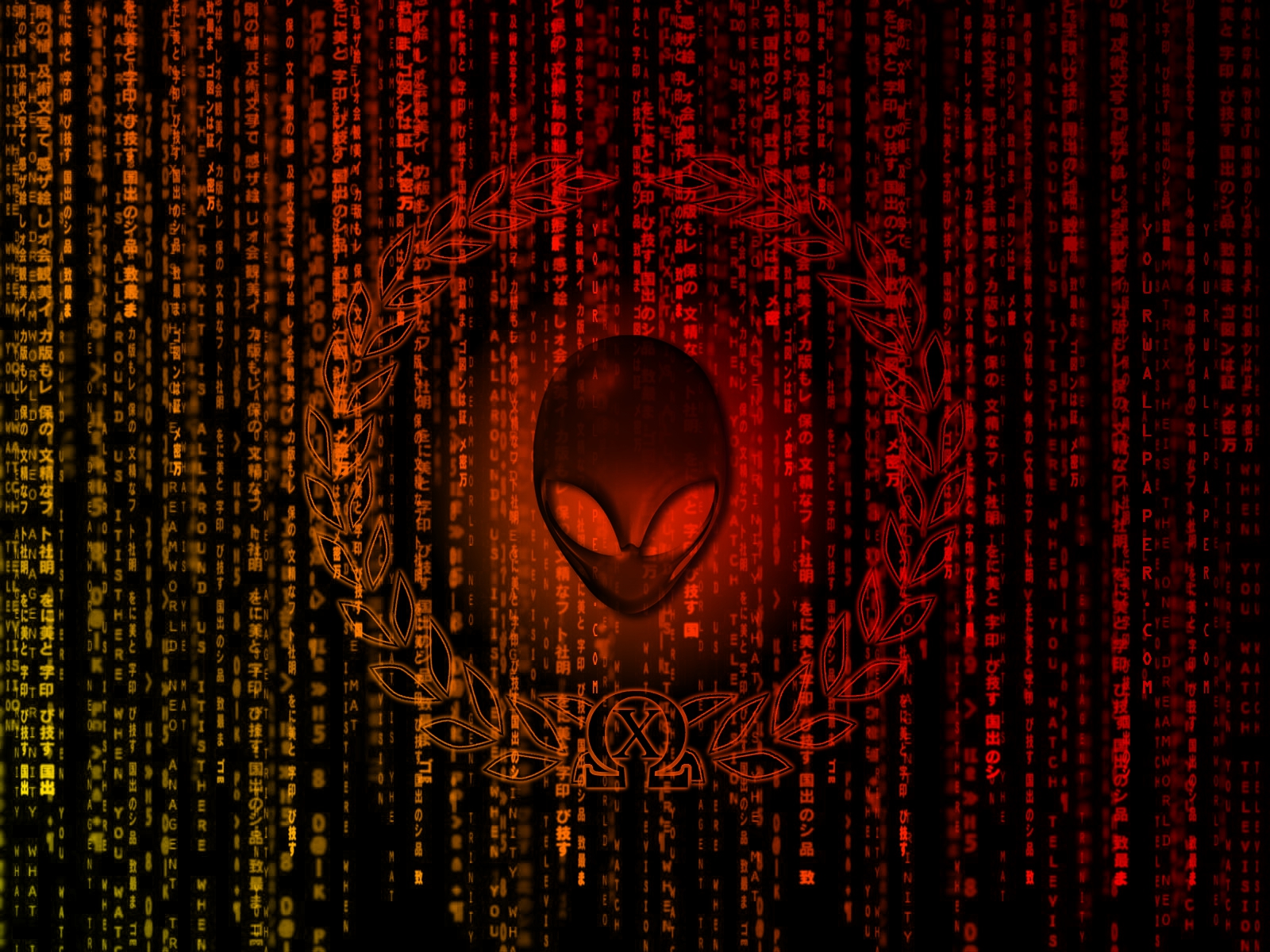 Хакер матрица