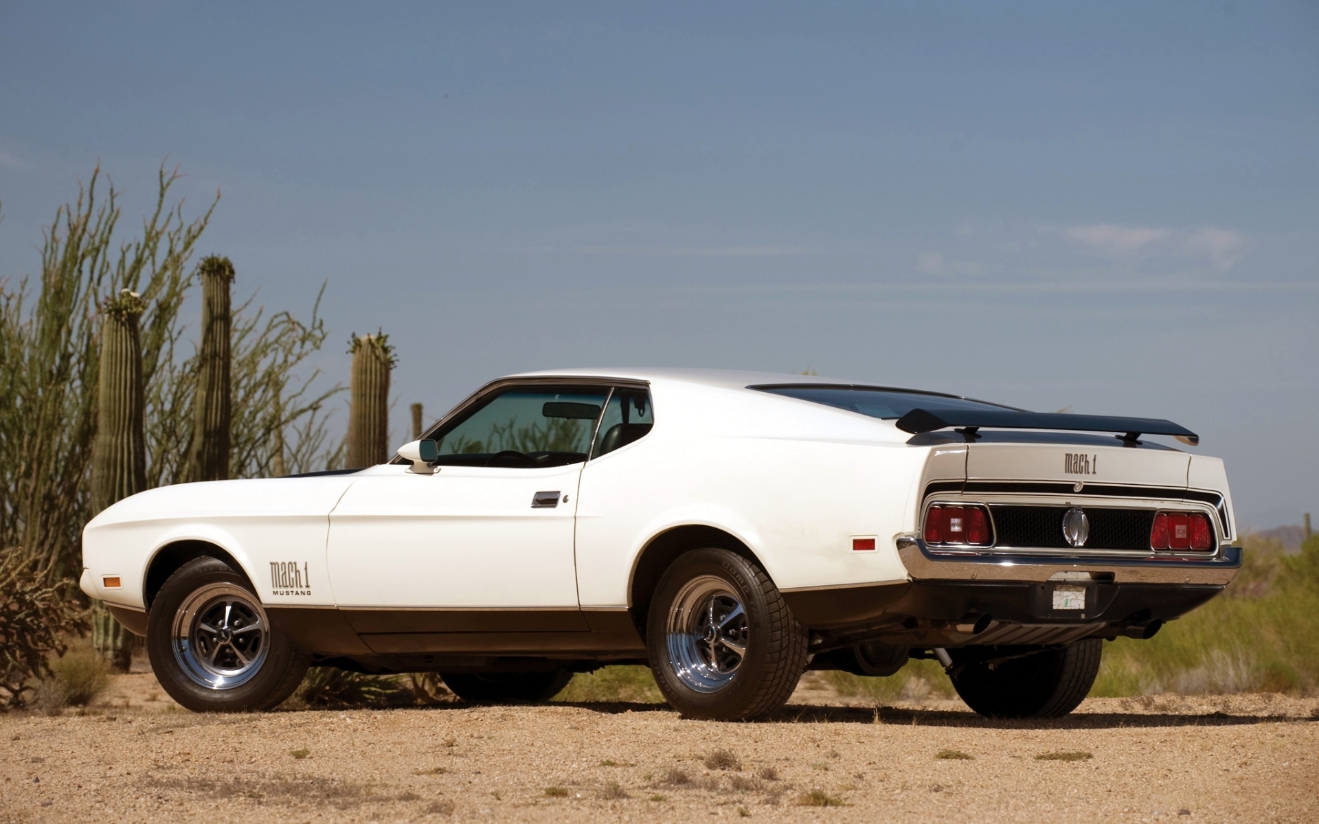 ford mustang mach 1