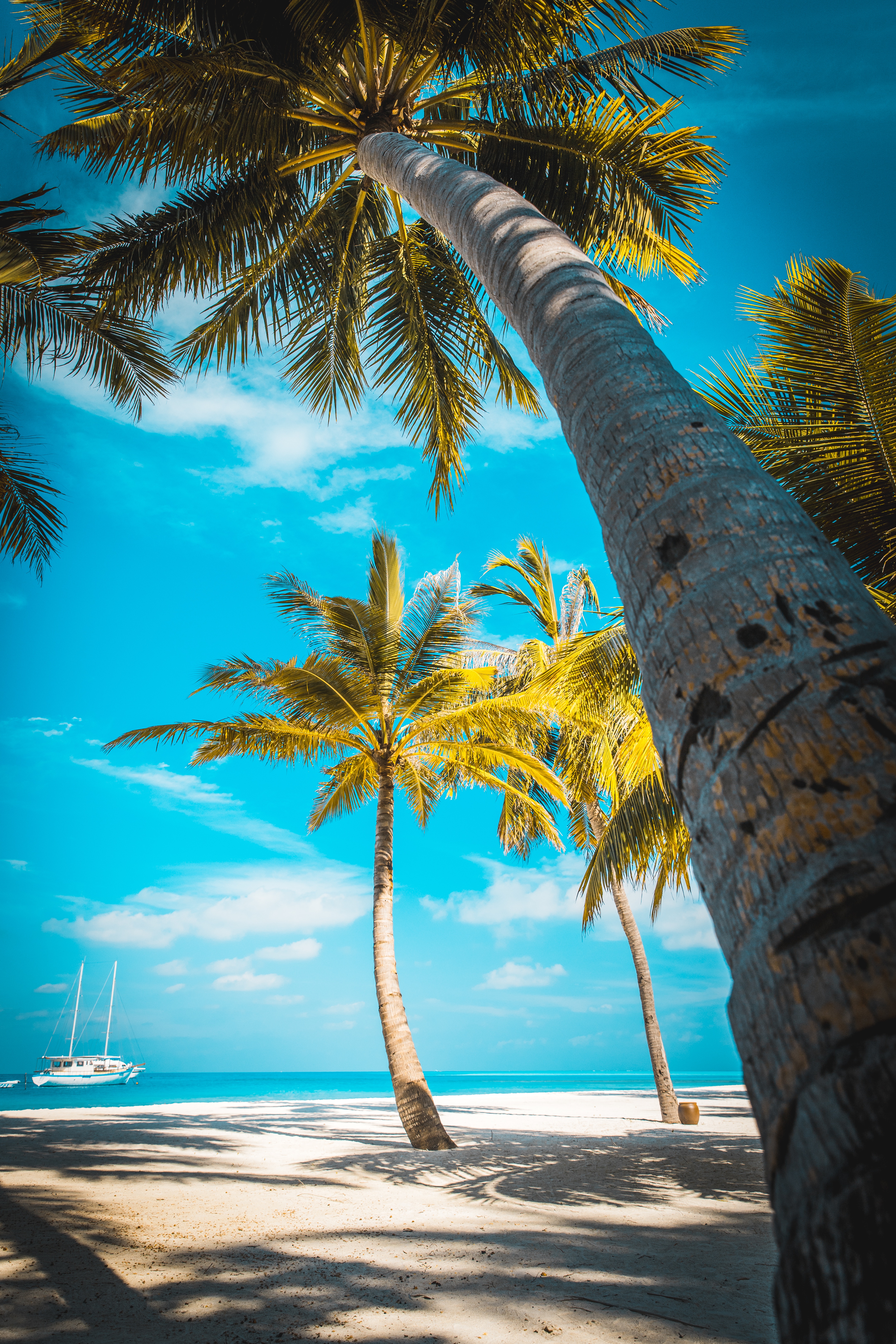 beach, tropics, nature, paradise, sand, palms iphone wallpaper