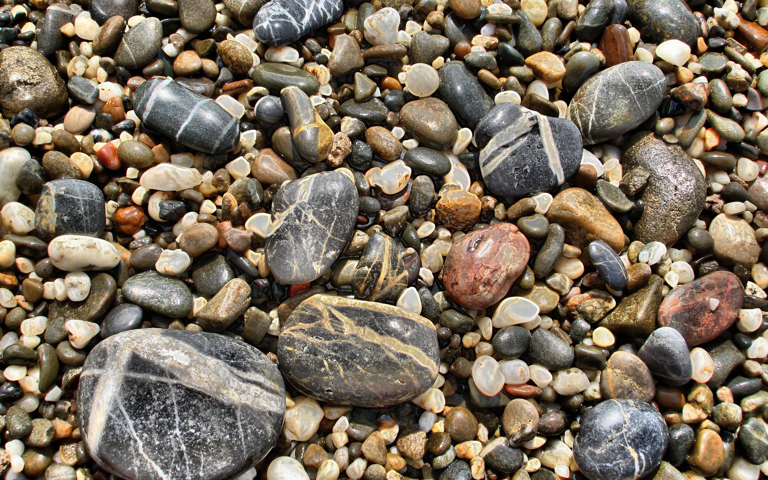 stones, macro, shallow, small, large, big, diversity, variety