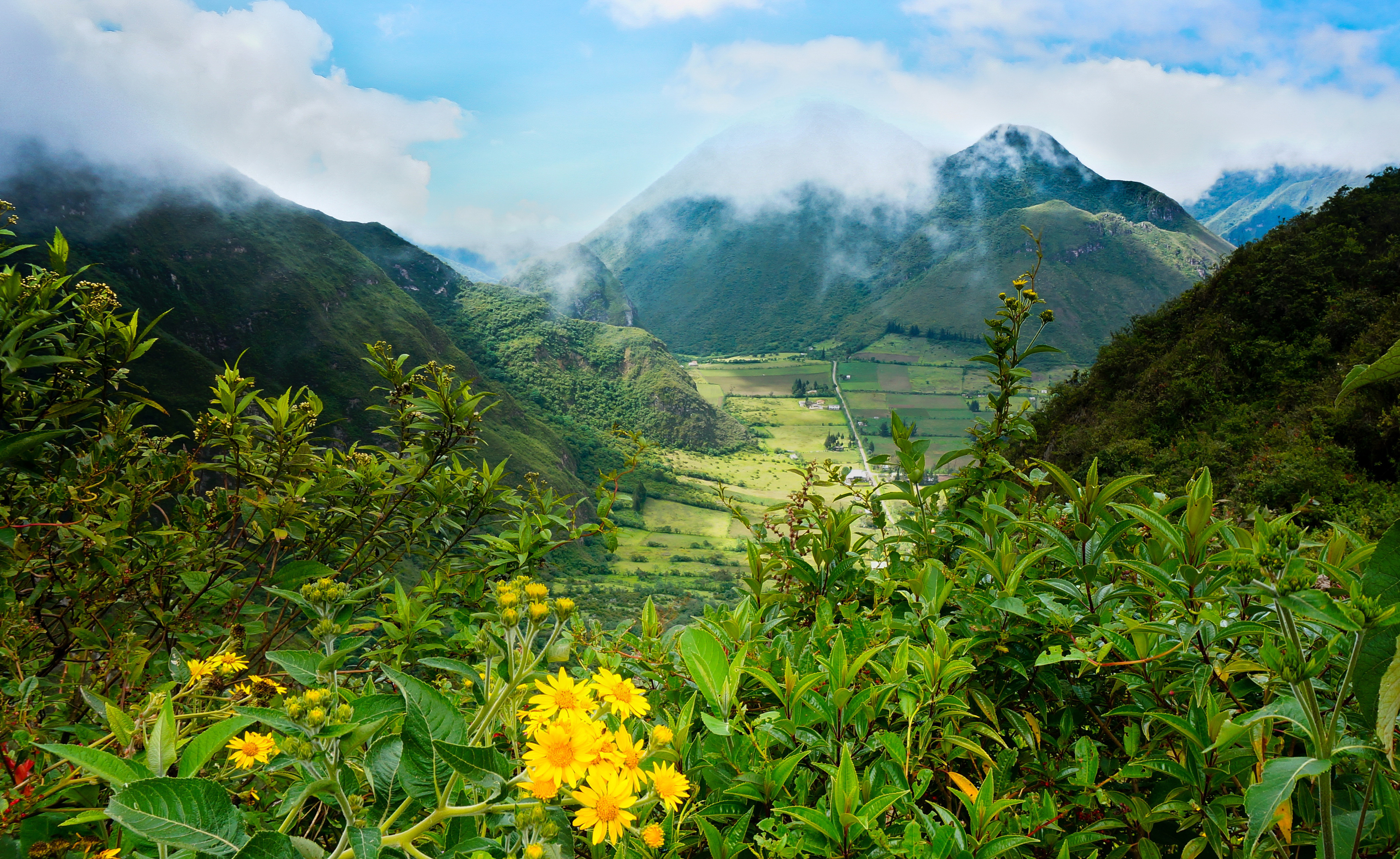 746350 скачать обои эквадор, пейзаж, земля/природа, цветок, туман, гора - заставки и картинки бесплатно