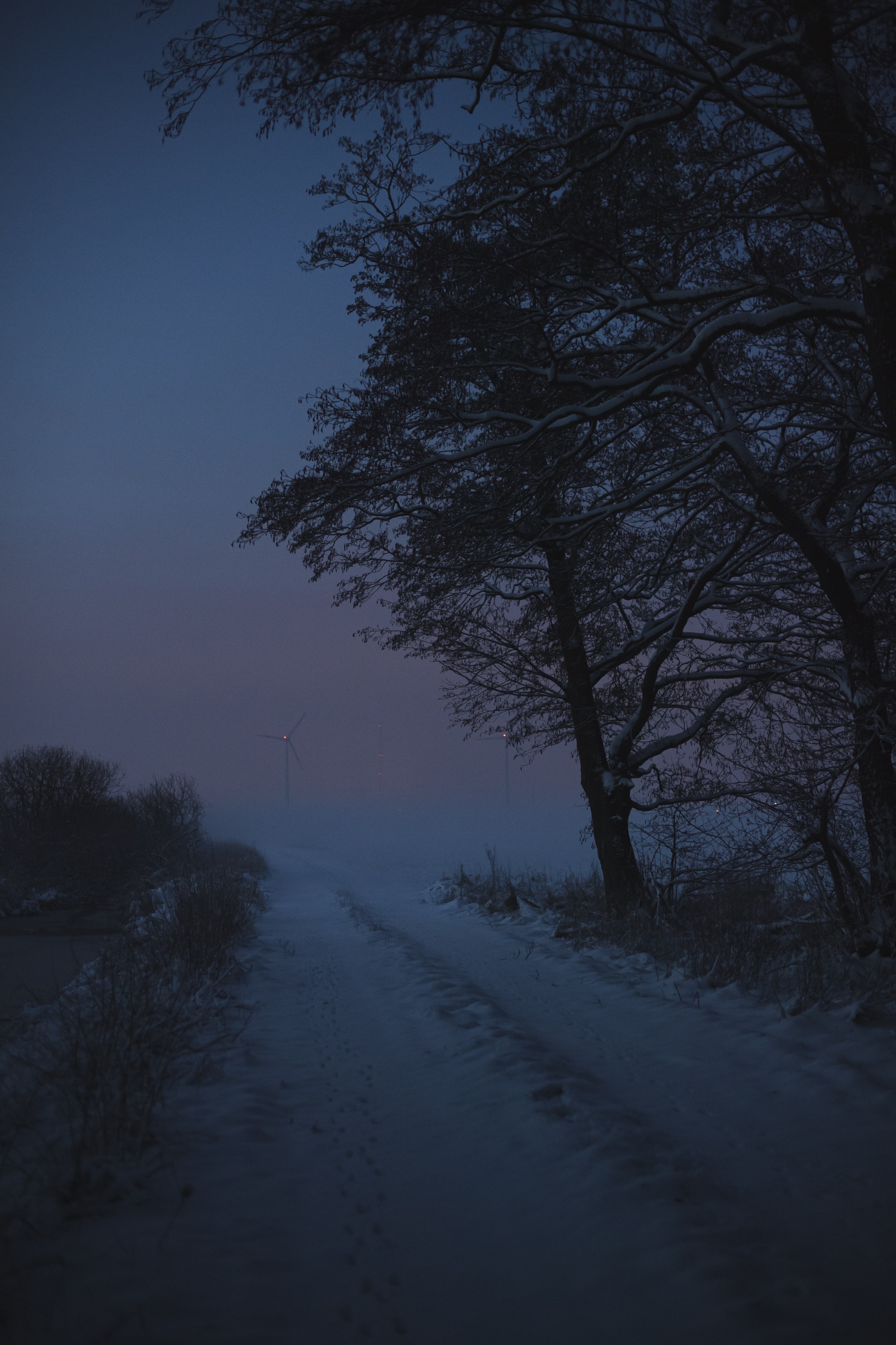 Free download wallpaper Winter, Trees, Twilight, Road, Dusk, Nature, Snow on your PC desktop