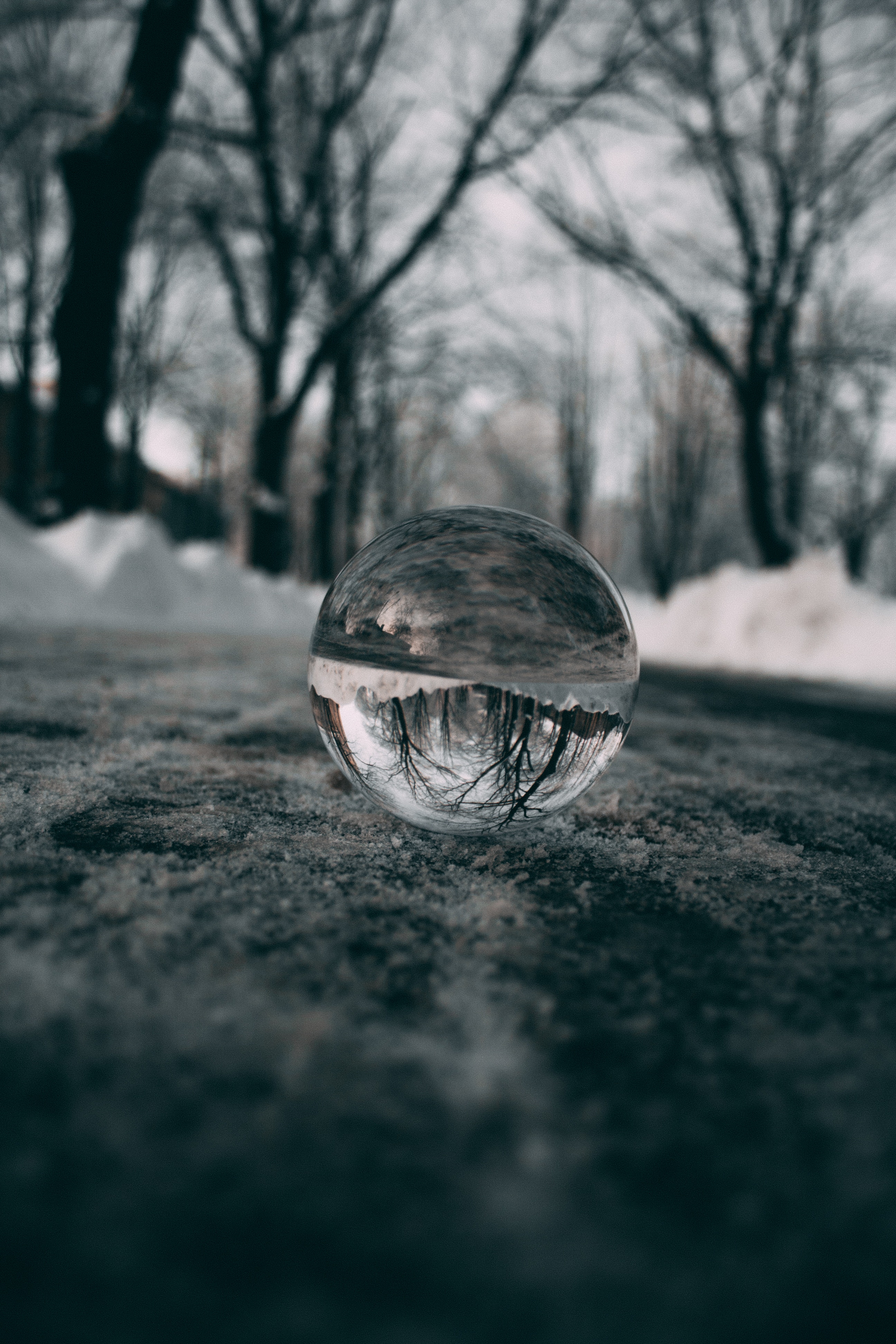 blur, smooth, ball, trees, snow, reflection, macro, glass Full HD