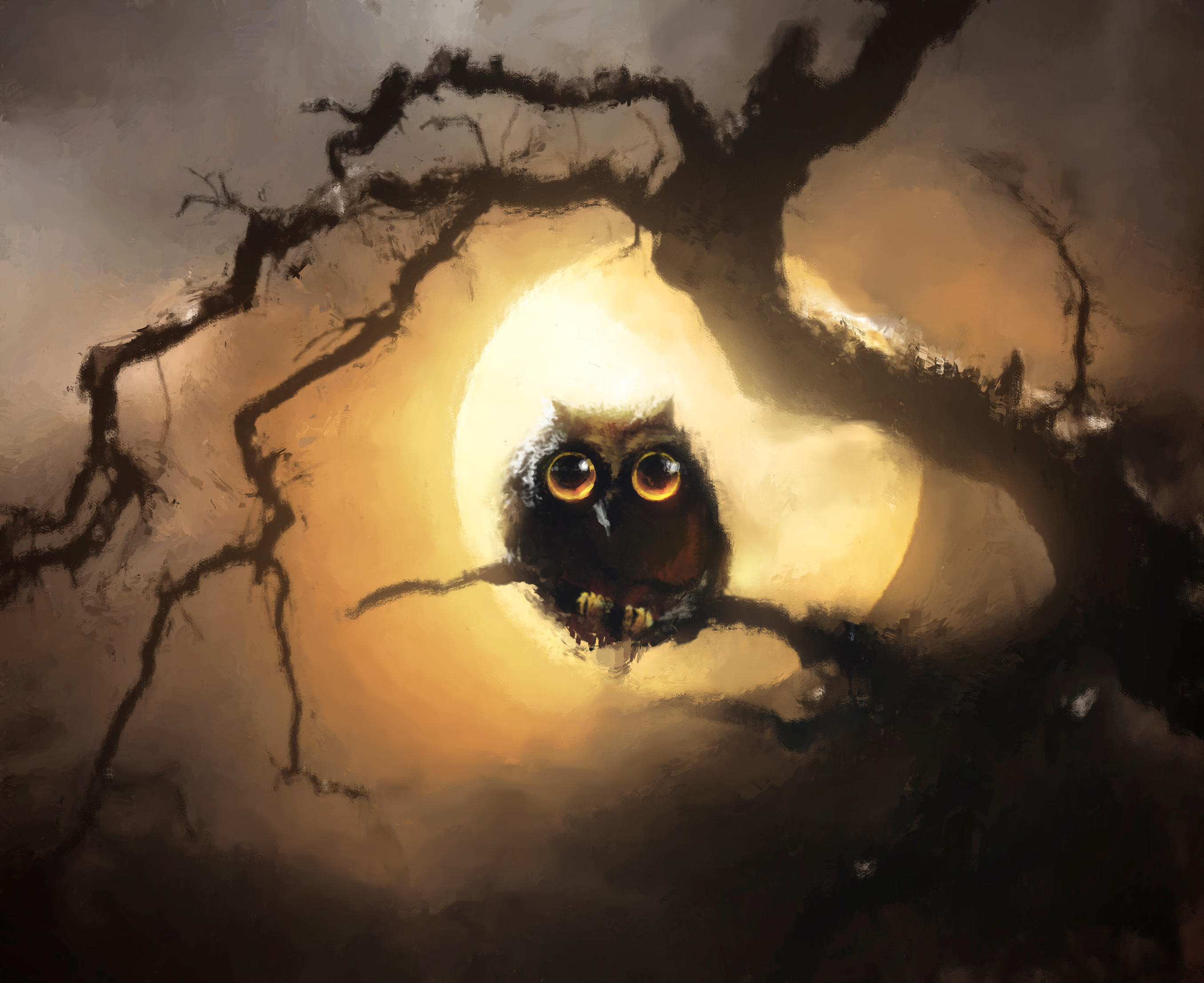 Download mobile wallpaper Birds, Owl, Moon, Bird, Branch, Animal, Full Moon for free.