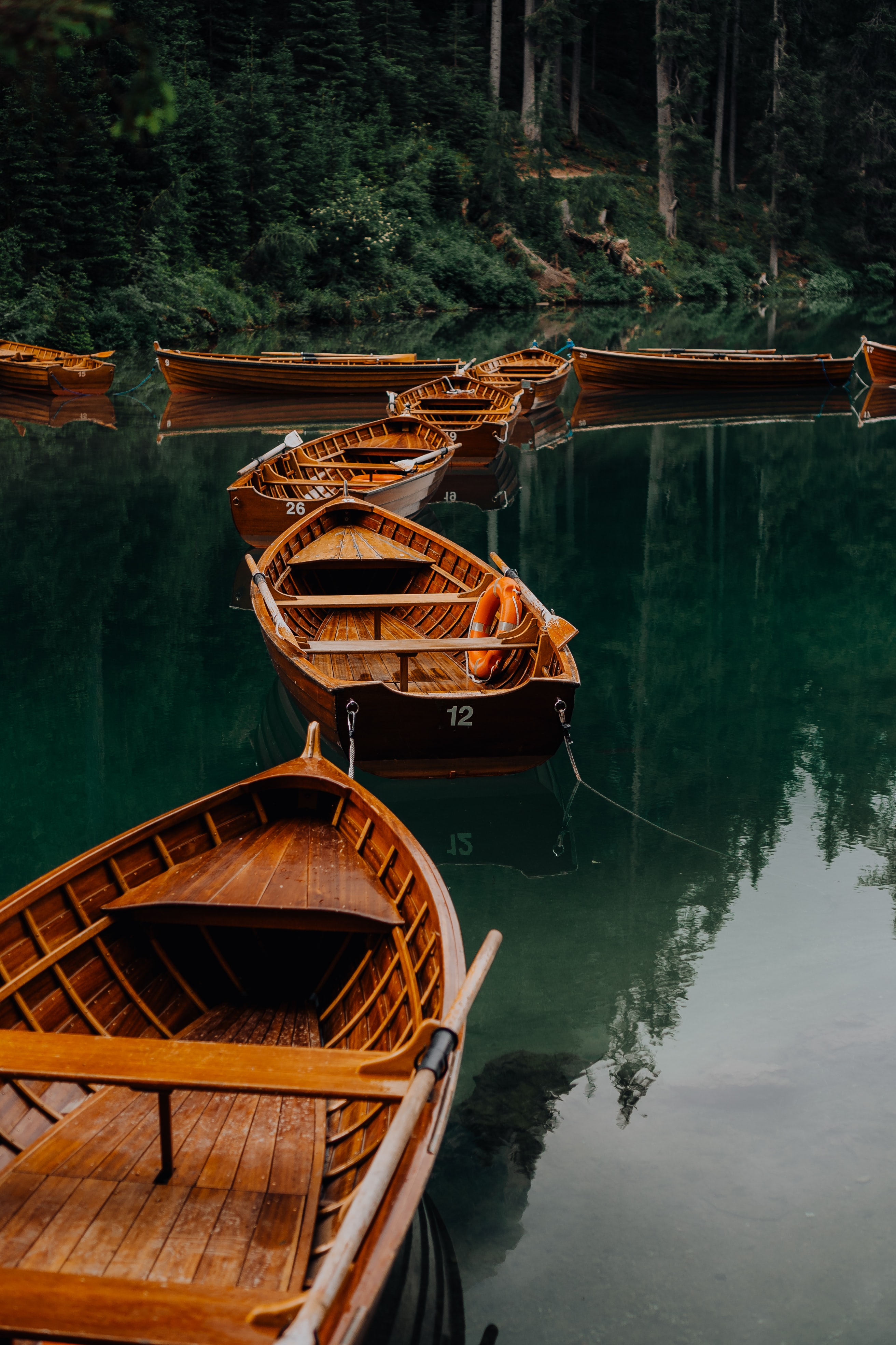 vertical wallpaper trees, nature, water, boats, lake, forest