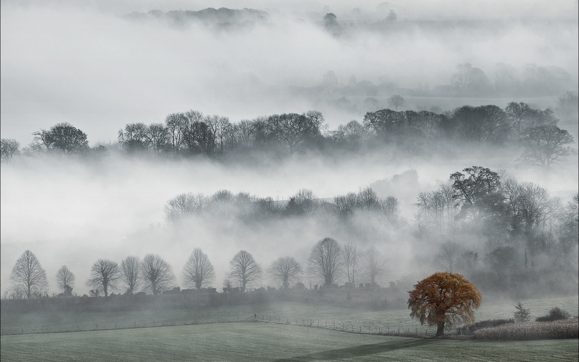Уилтшир Англия туман