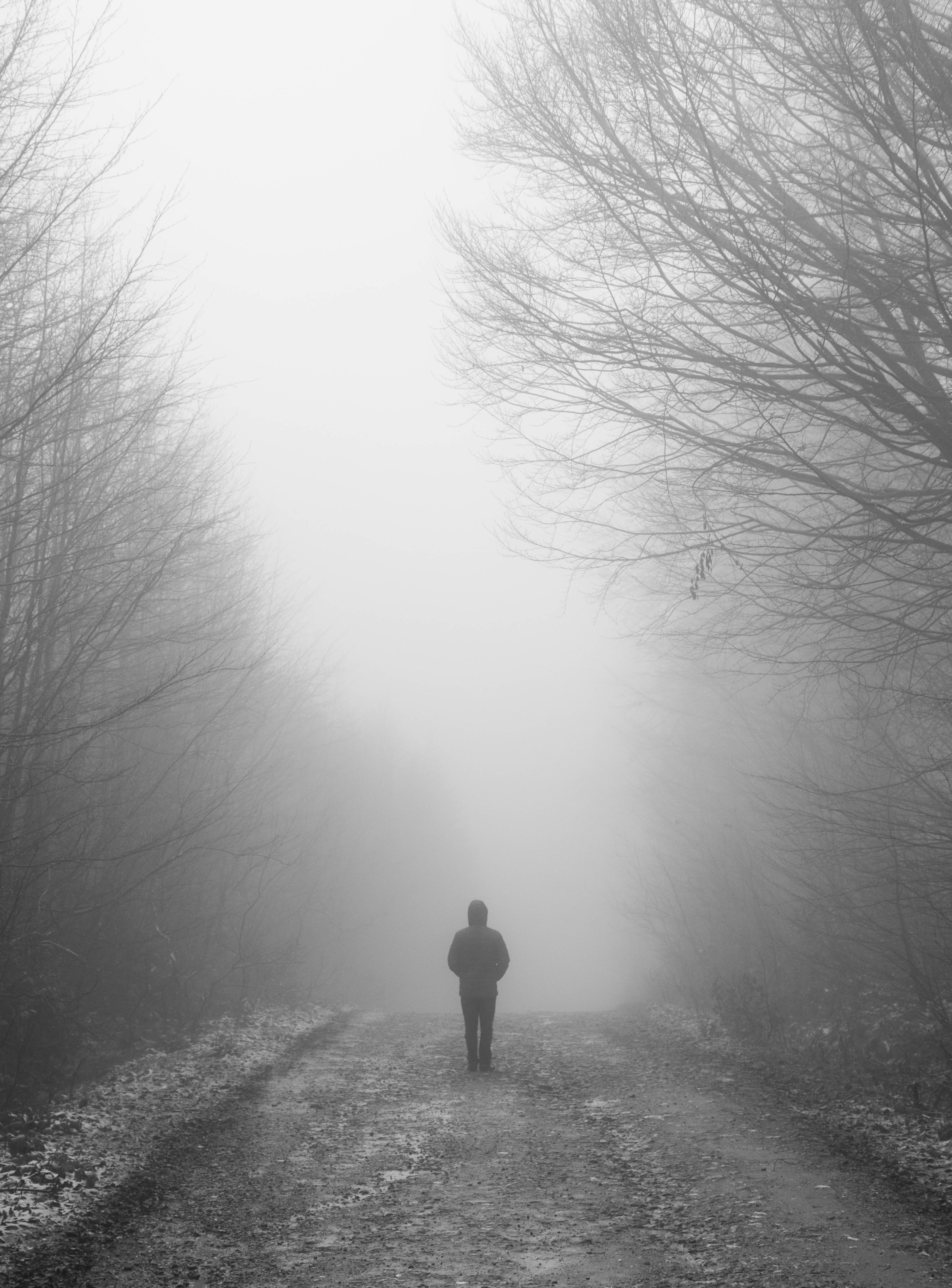 loneliness, darkness, miscellanea, miscellaneous, fog, bw, chb, human, person cellphone