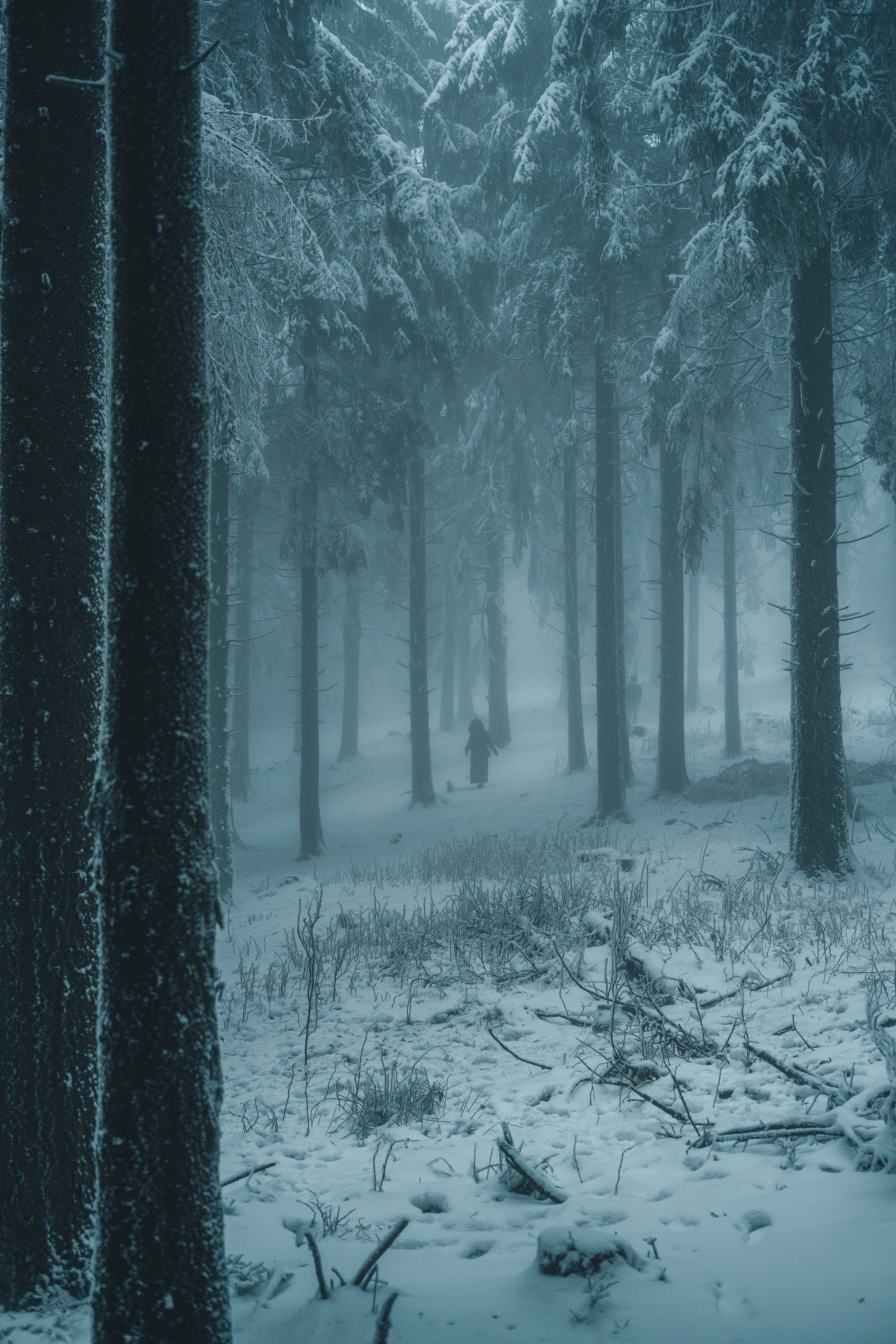 Handy-Wallpaper Winter, Natur, Schnee, Wald, Nebel, Silhouetten, Menschen kostenlos herunterladen.