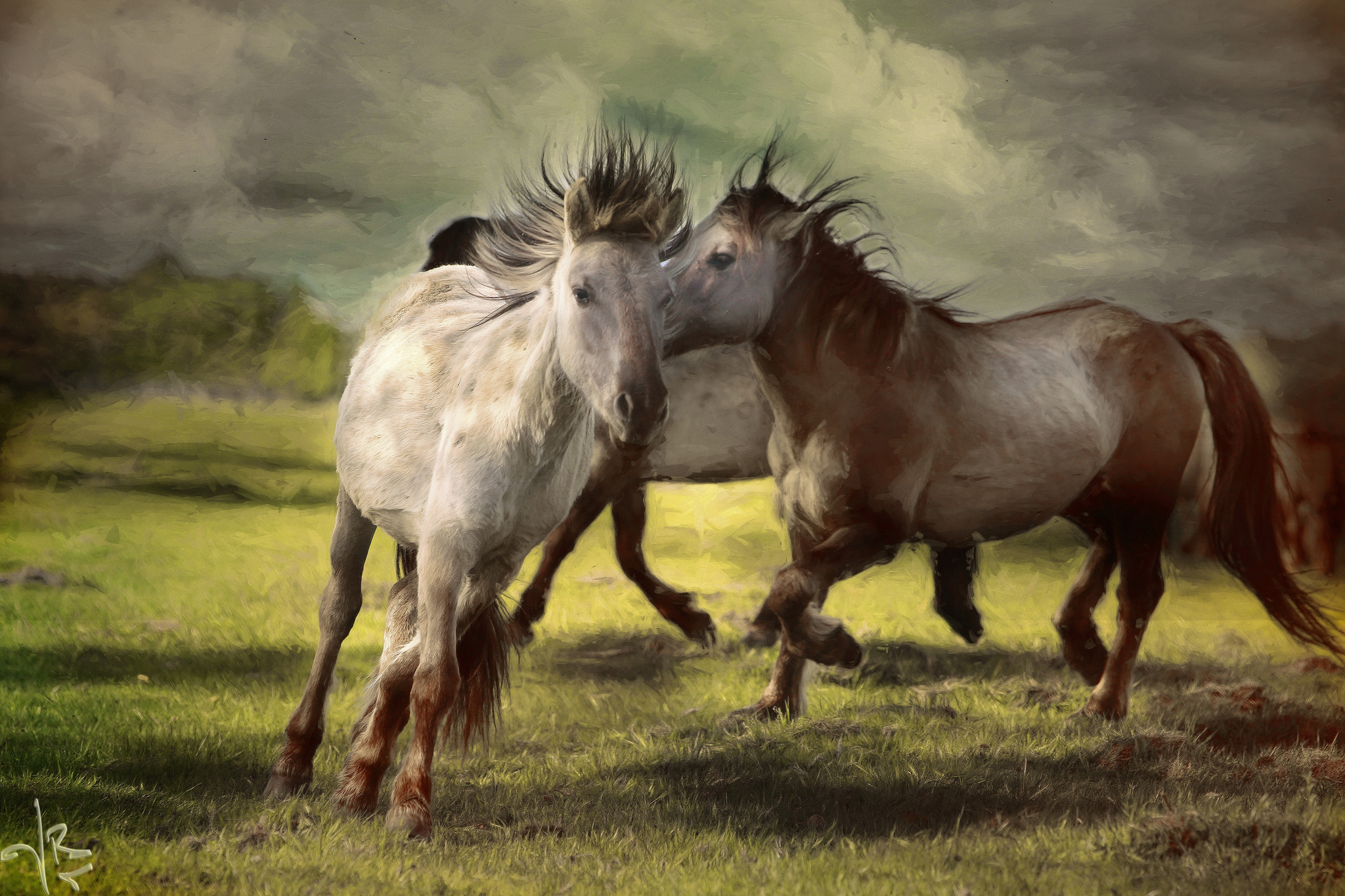 Картины с лошадьми с высоким разрешением