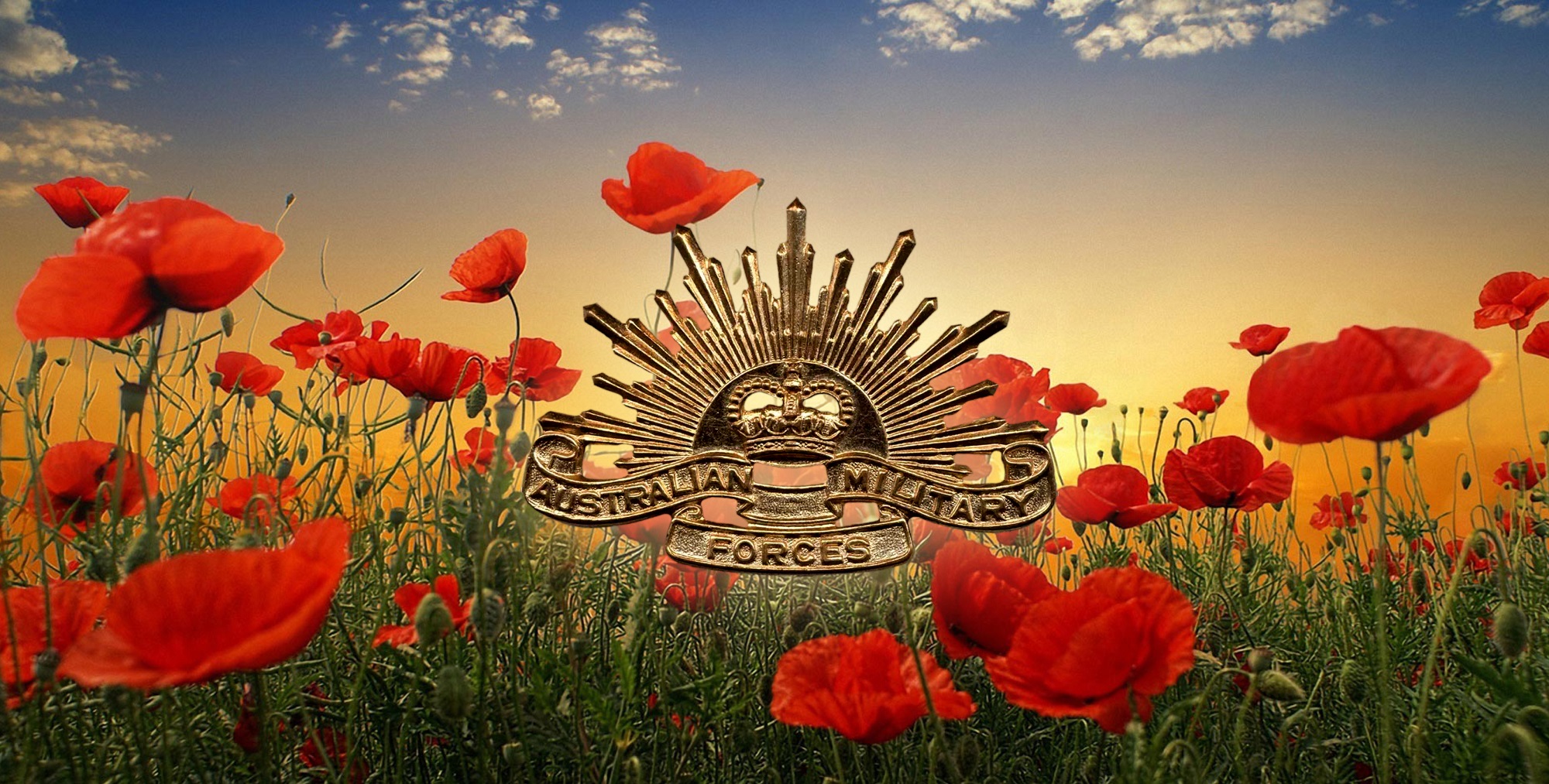 Download mobile wallpaper Flower, Holiday, Poppy, Anzac Day for free.