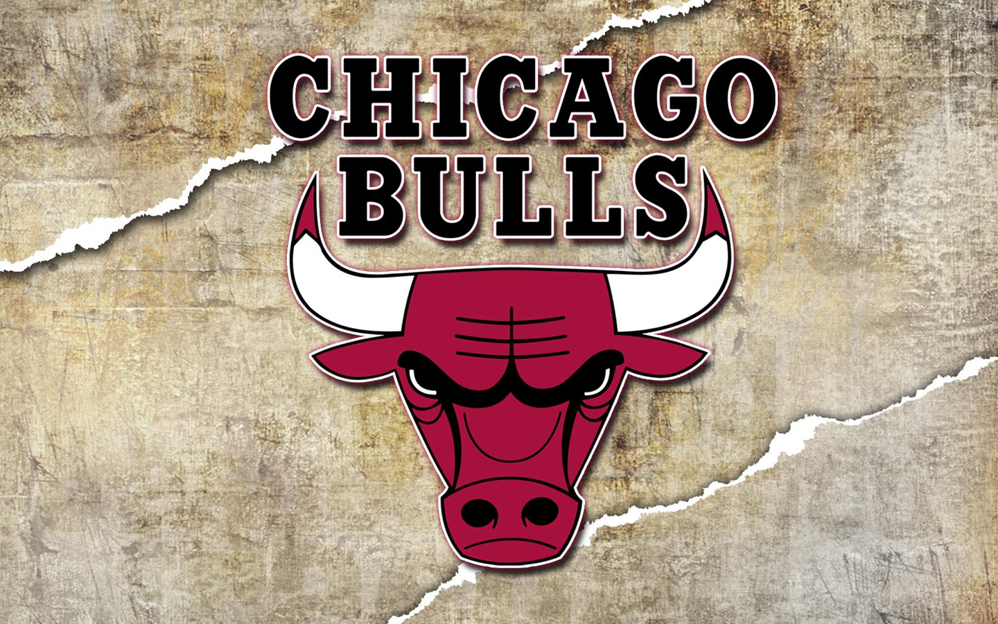 Chicago bulls эмблема