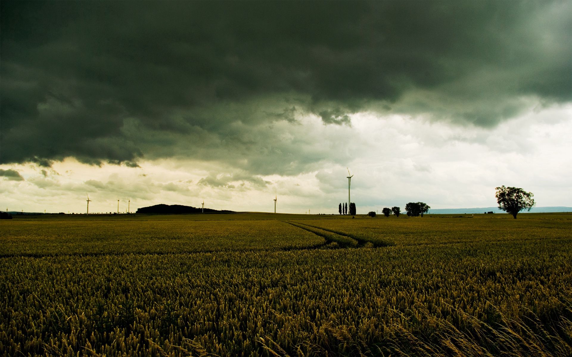 gloomy, nature, sky, clouds, gray, field download HD wallpaper