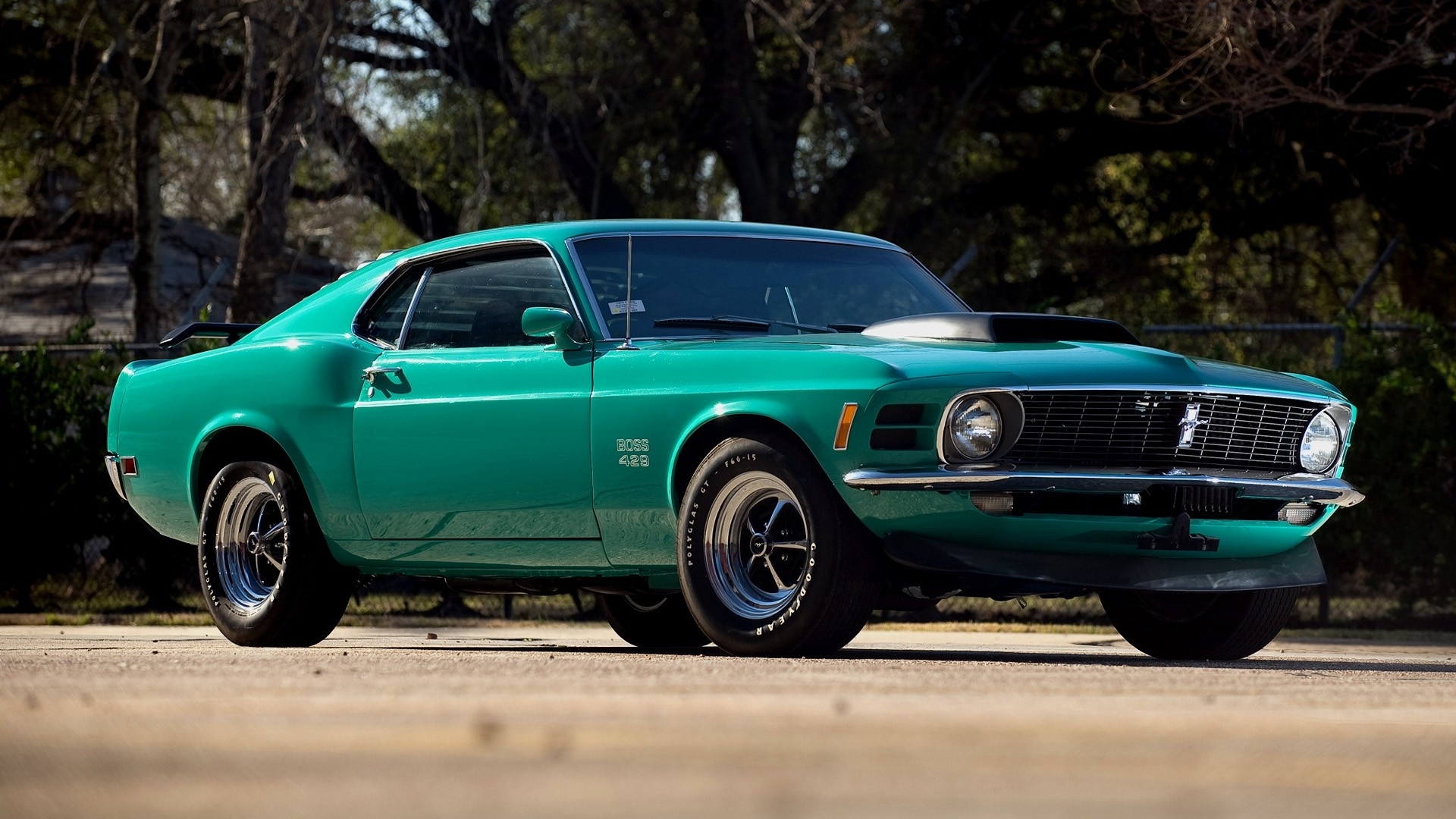 vehicles, ford mustang boss 429, ford wallpaper for mobile