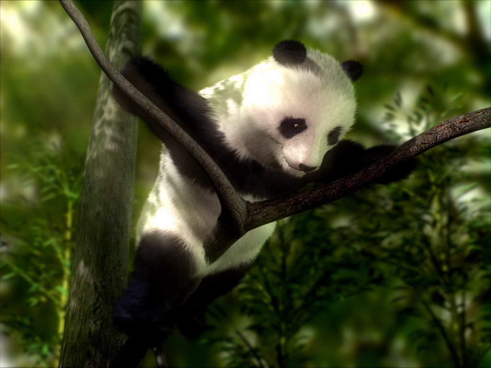 Download mobile wallpaper Bears, Pandas, Animals for free.