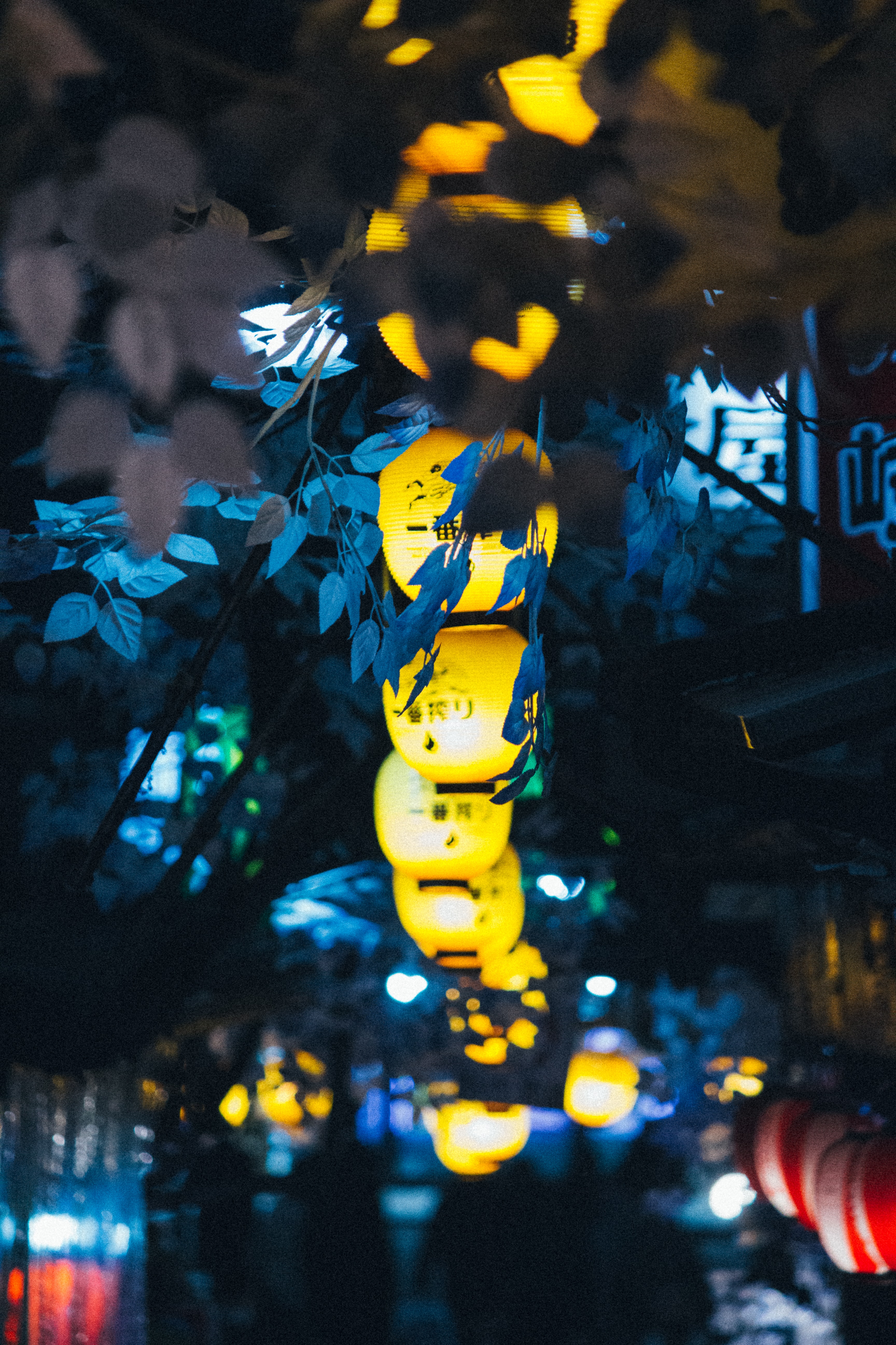 shine, light, miscellanea, miscellaneous, branches, glow, decoration, chinese lanterns