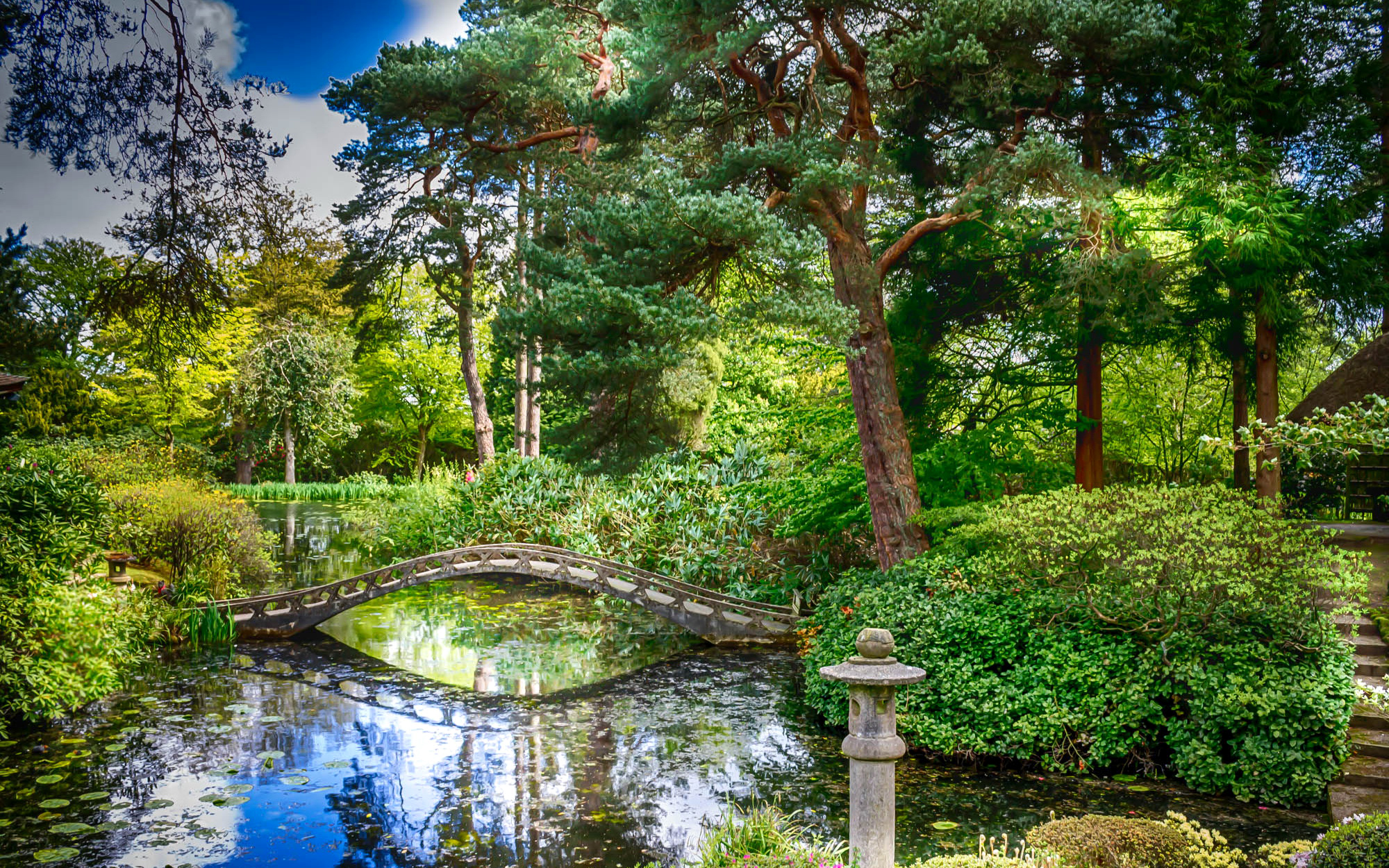 Летний фон парк пруд сад Англия