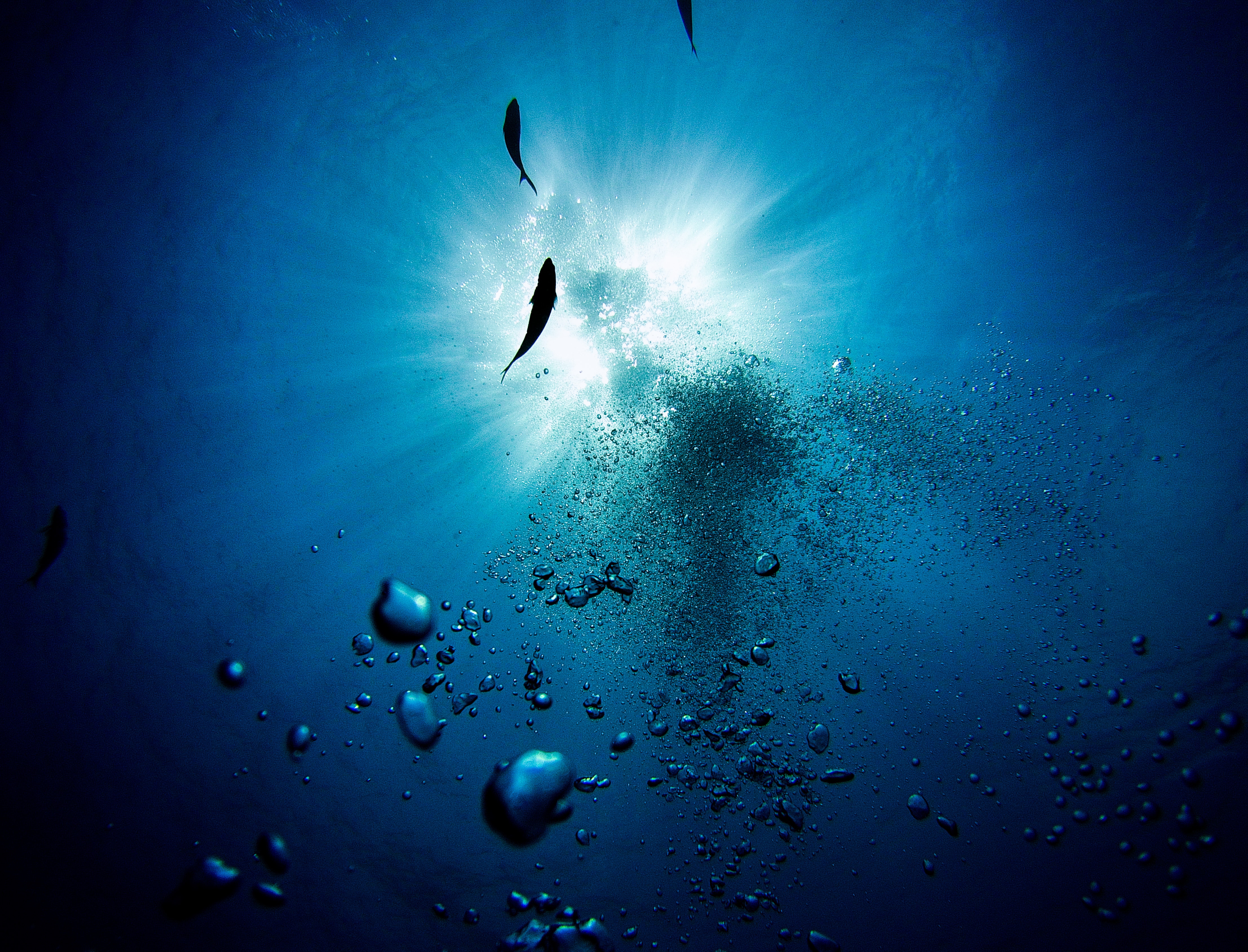 underwater, bubbles, depth, fishes, water, submarine, miscellanea, miscellaneous HD wallpaper