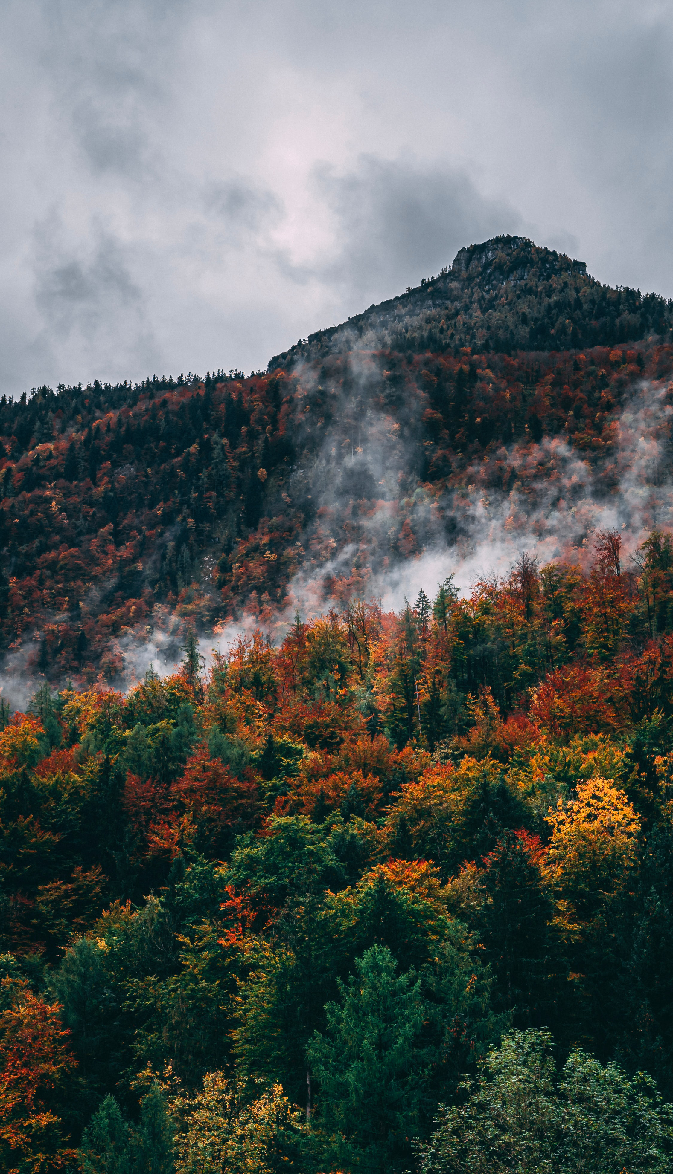 Laden Sie das Natur, Clouds, Berg, Scheitel, Nach Oben, Steigung, Wald-Bild kostenlos auf Ihren PC-Desktop herunter