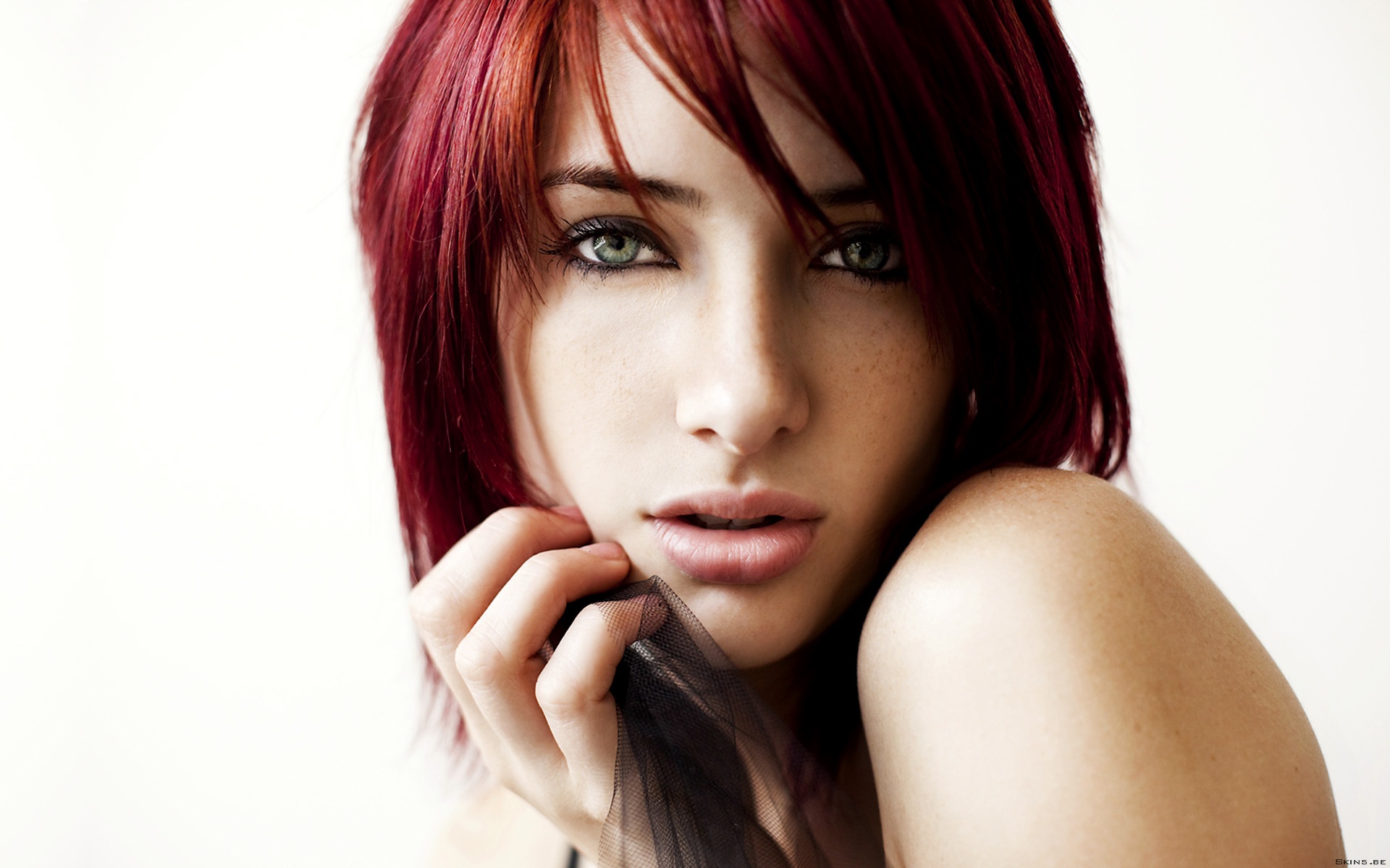 susan coffey, celebrity wallpapers for tablet