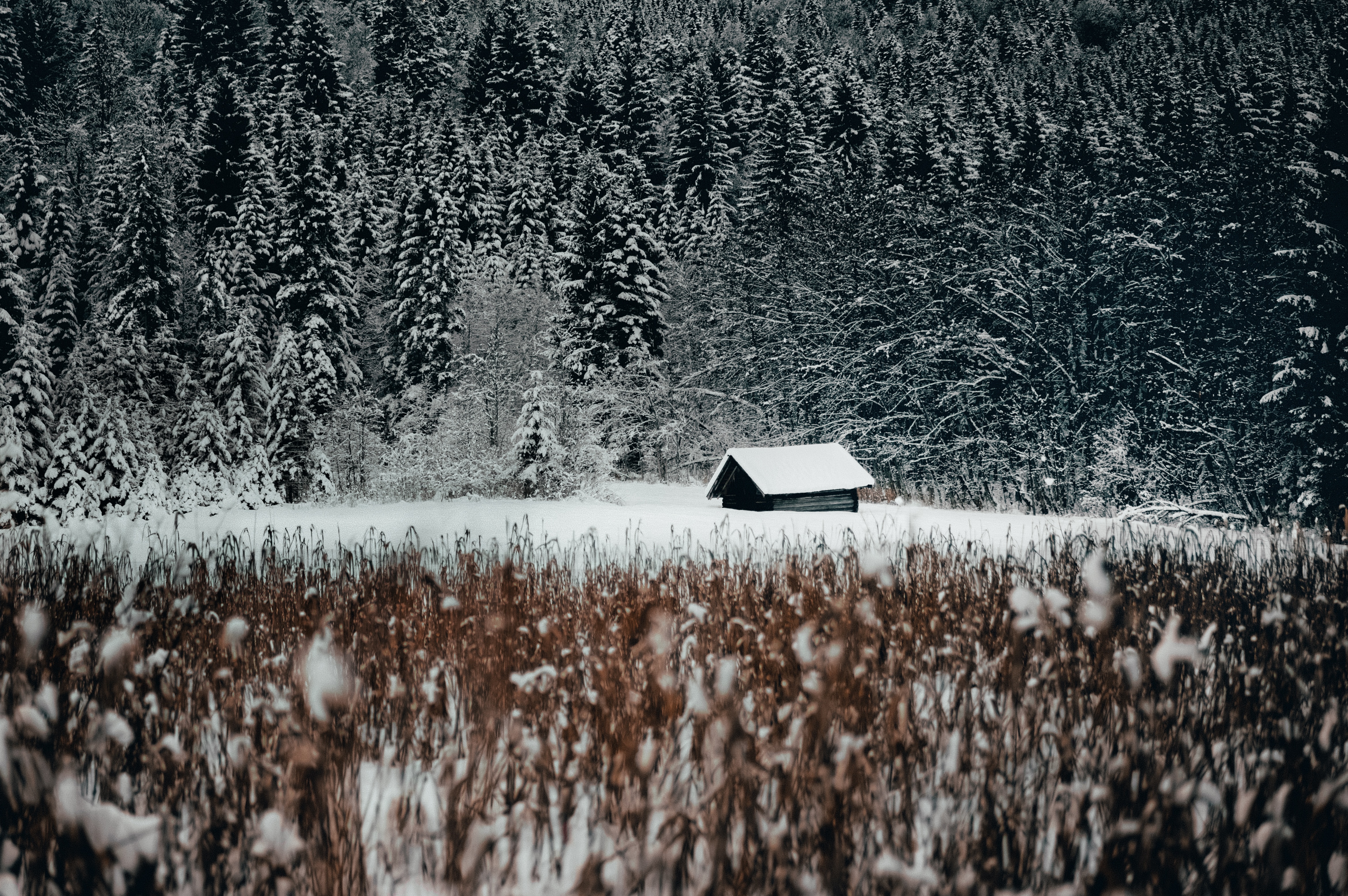 Free download wallpaper Winter, Snow, Edge, Nature, Lodge, Outskirts, Forest, Small House on your PC desktop