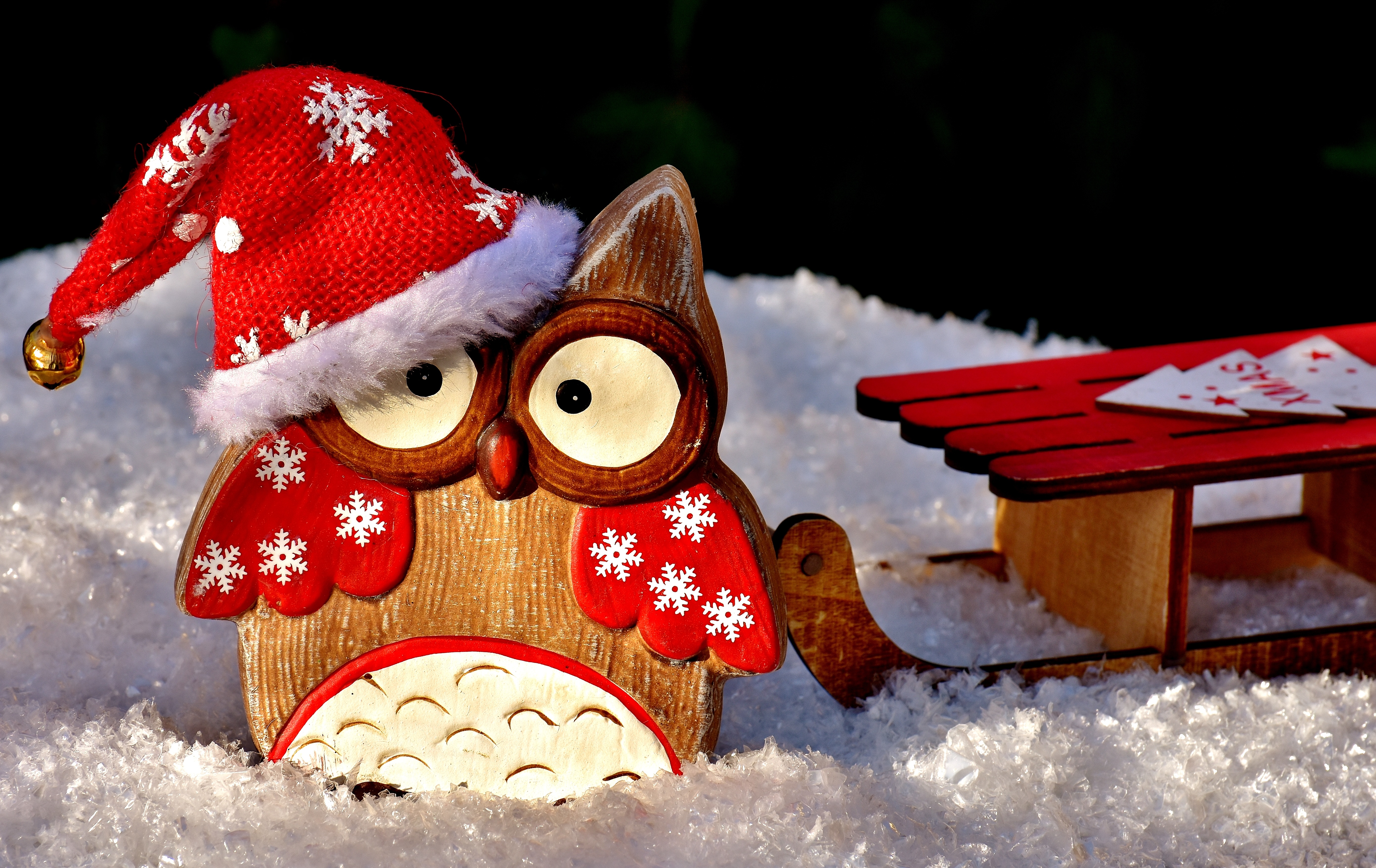 sled, holiday, christmas, owl, santa hat, snow QHD