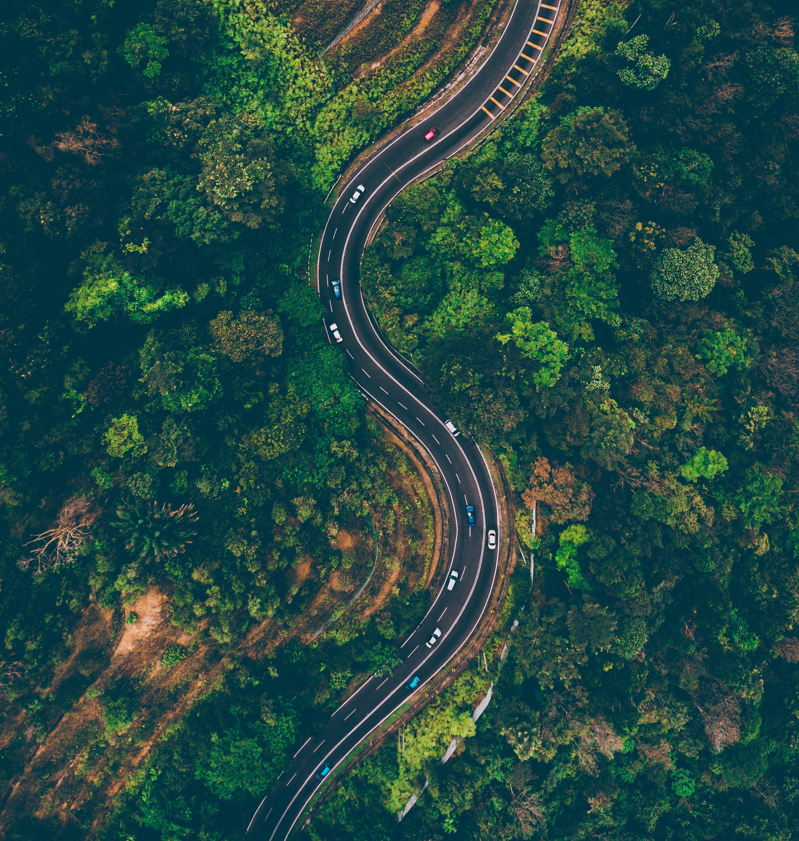 road, view from above, sinuous, nature, trees, winding, malaysia, batang kali cellphone