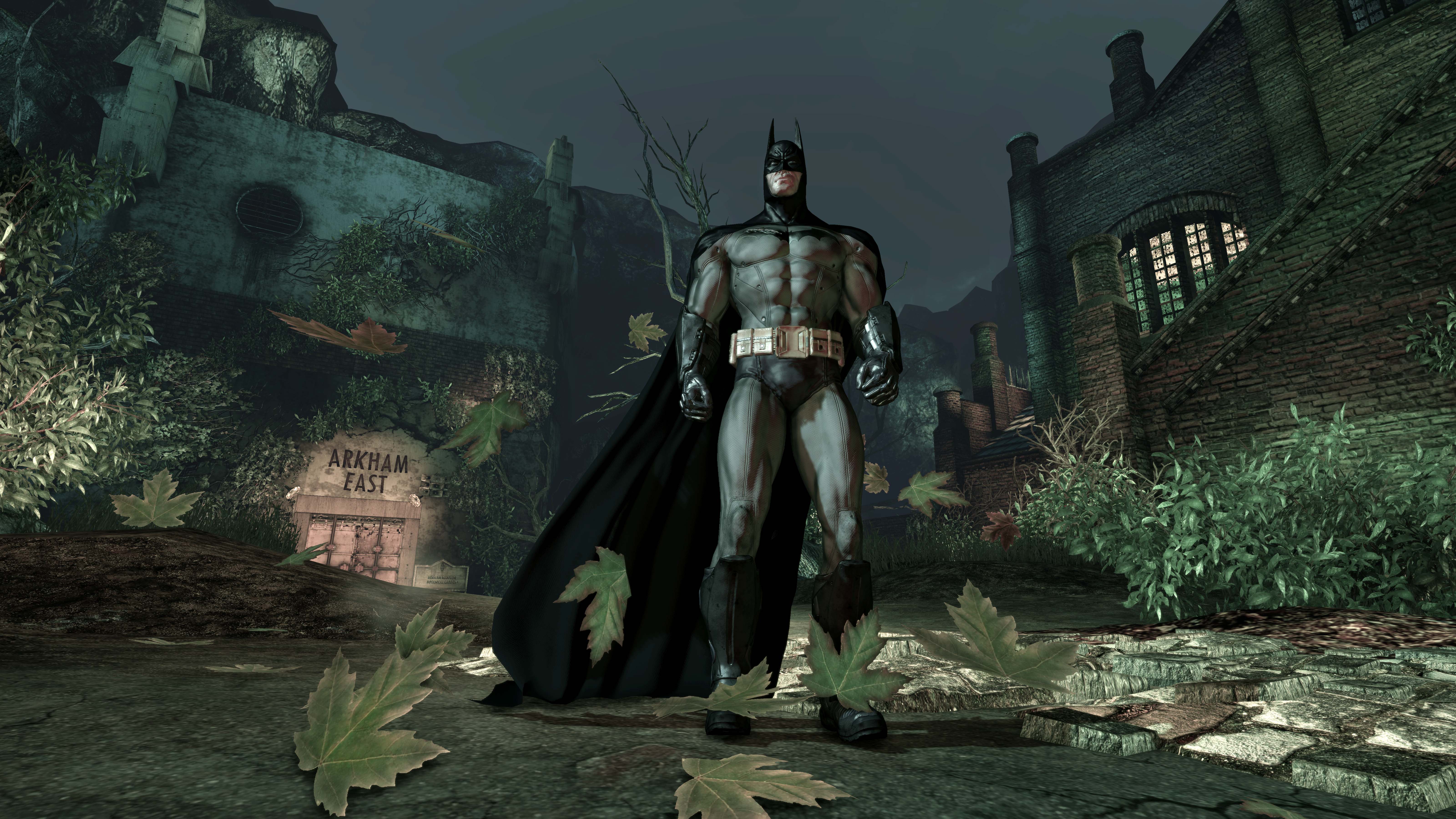 video game, batman: arkham asylum, batman cellphone