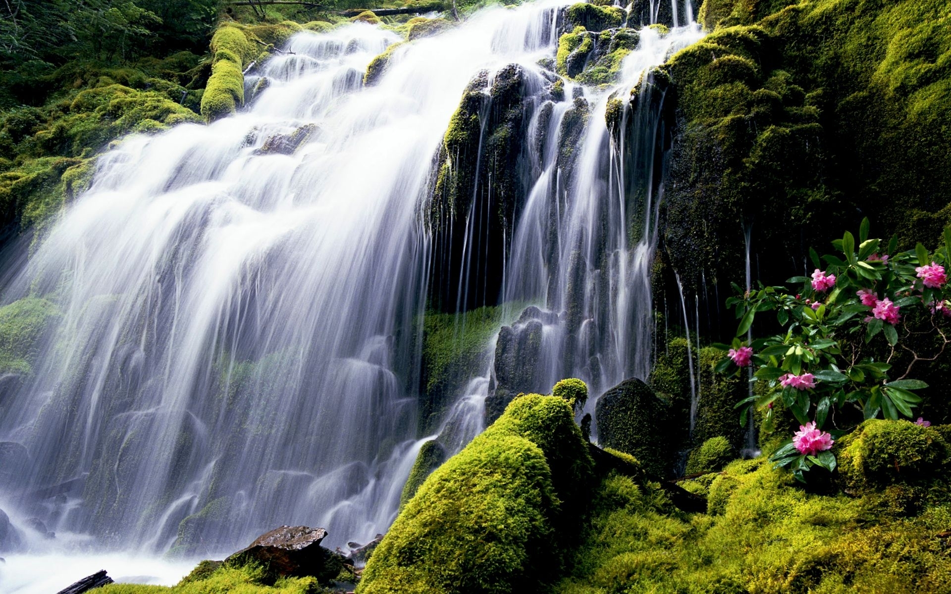Как сделать обои на весь экран. Водопад Мосбрей, США. Водопад Сороа. Водопад прокси, Орегон. Красивая природа водопад.