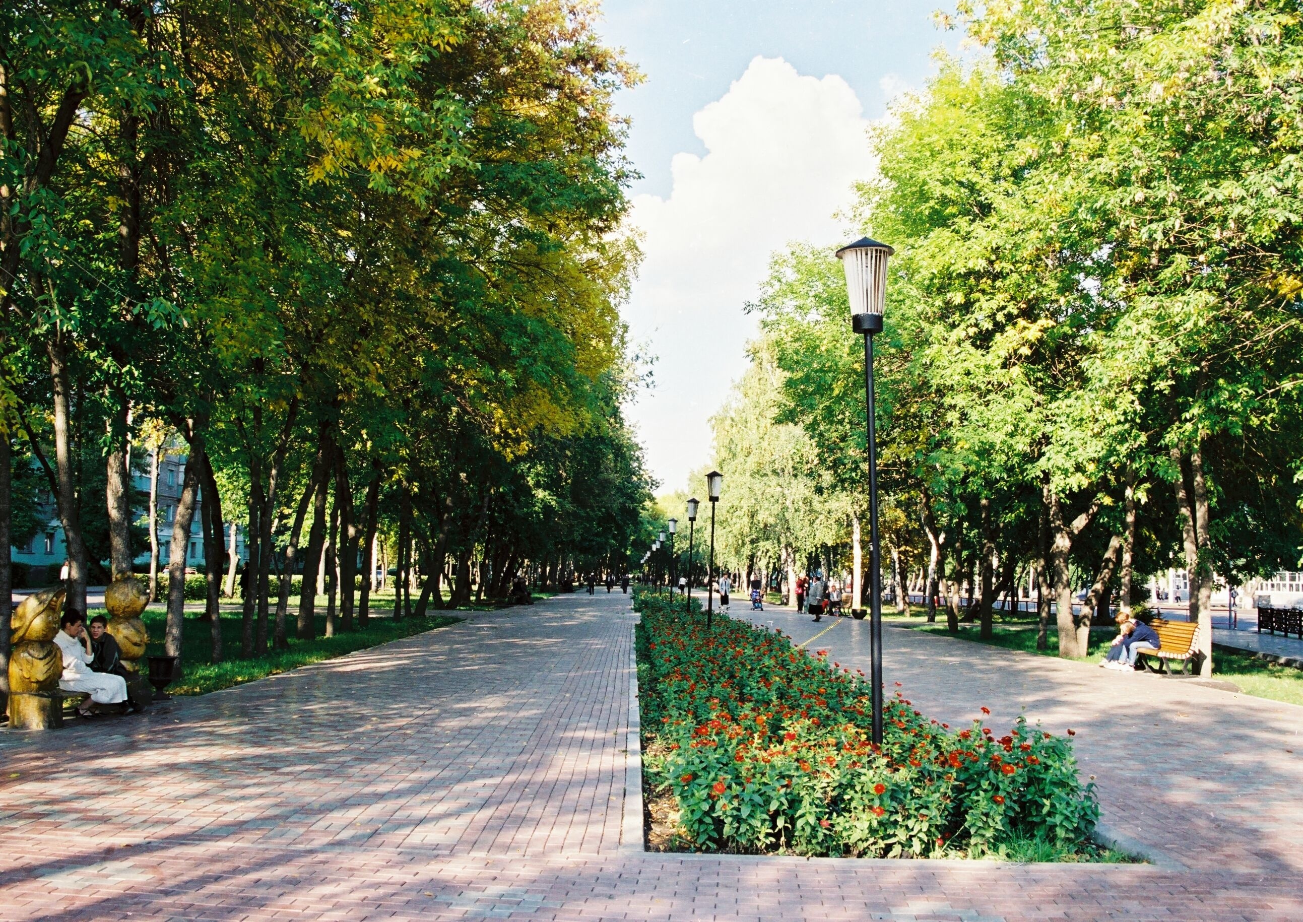 Летние фотографии в городе