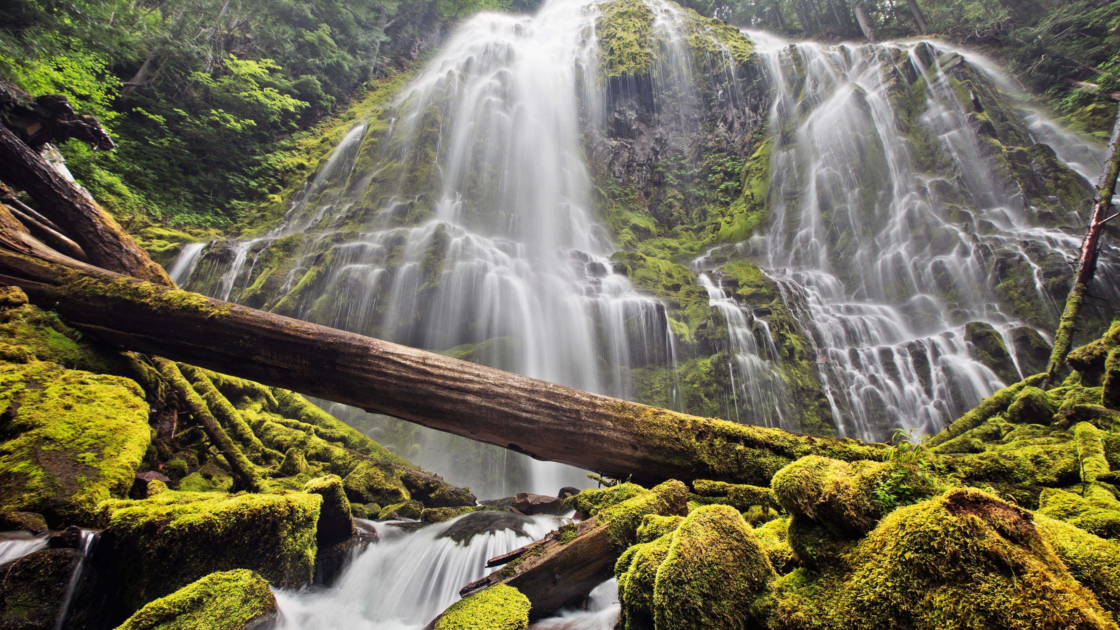 earth, waterfall, forest, log, moss, waterfalls High Definition image